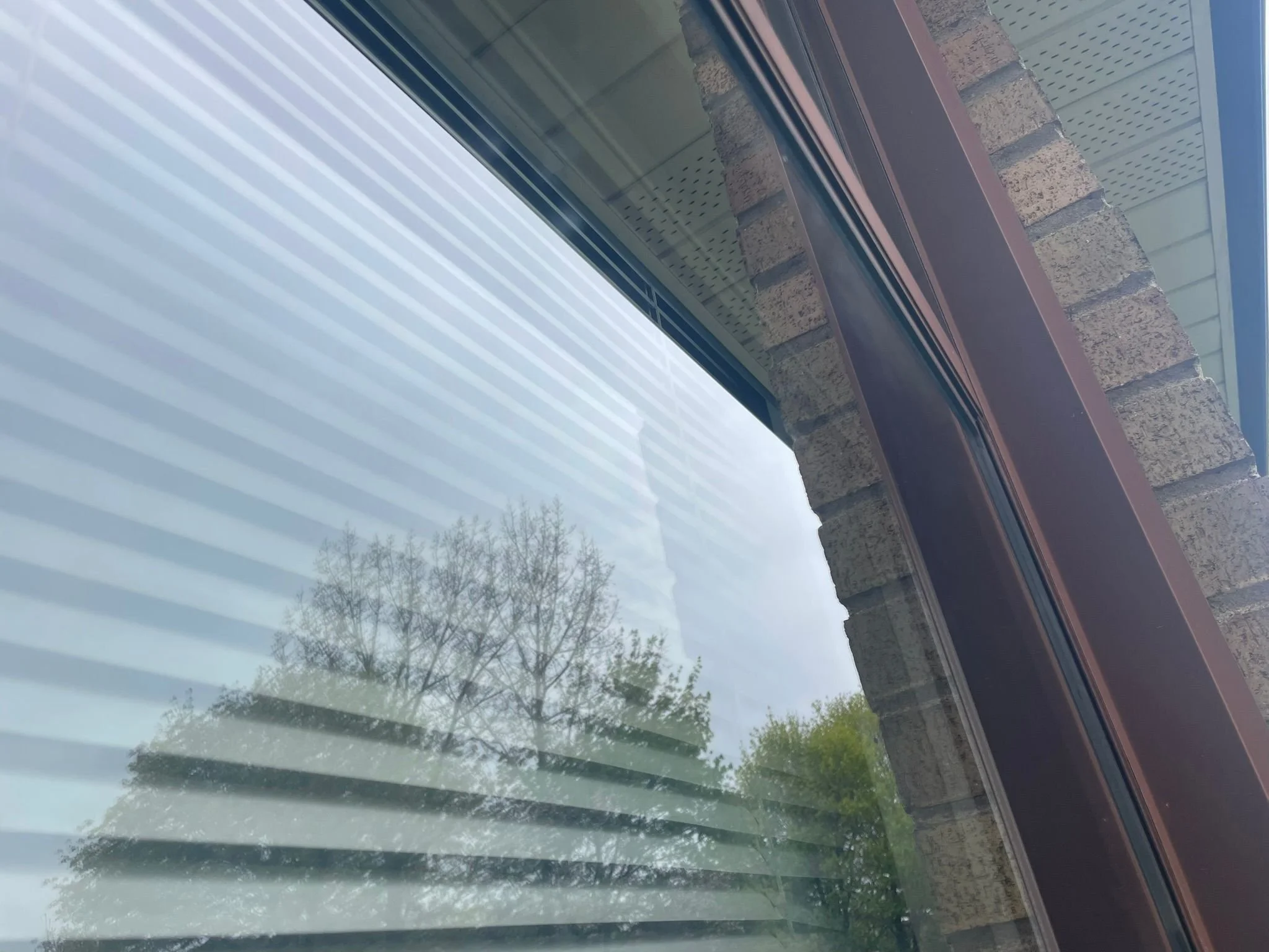 WhatsApp Image 2025-06-27 at 15.45.43.jpeg