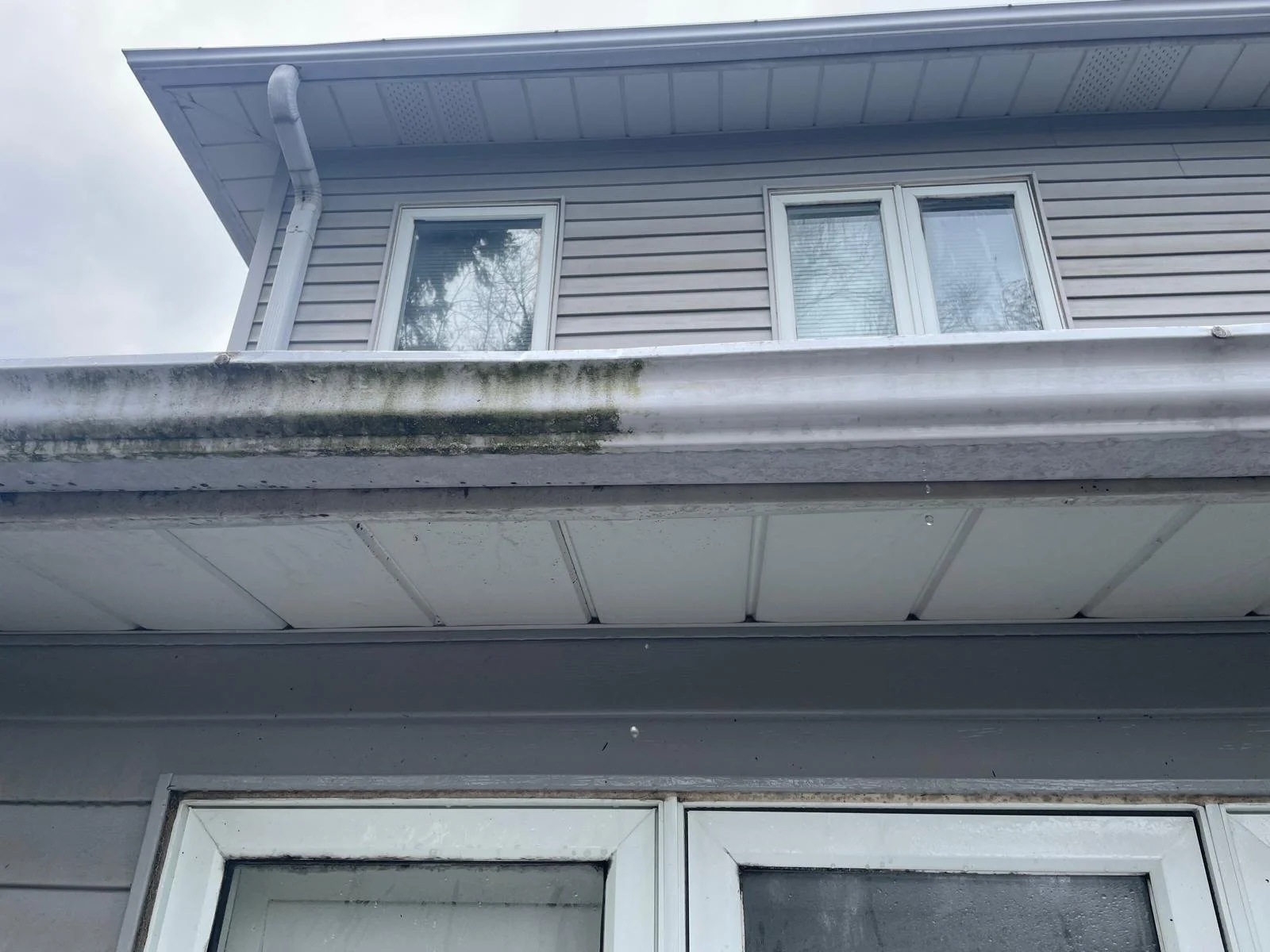 WhatsApp Image 2025-04-01 at 20.32.46 (4).jpeg