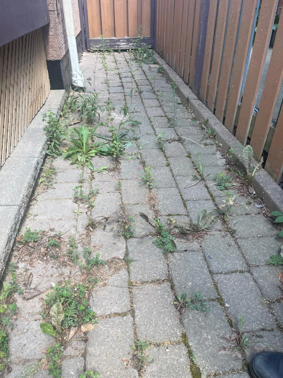 WhatsApp Image 2025-08-25 at 15.12.15 (33).jpeg