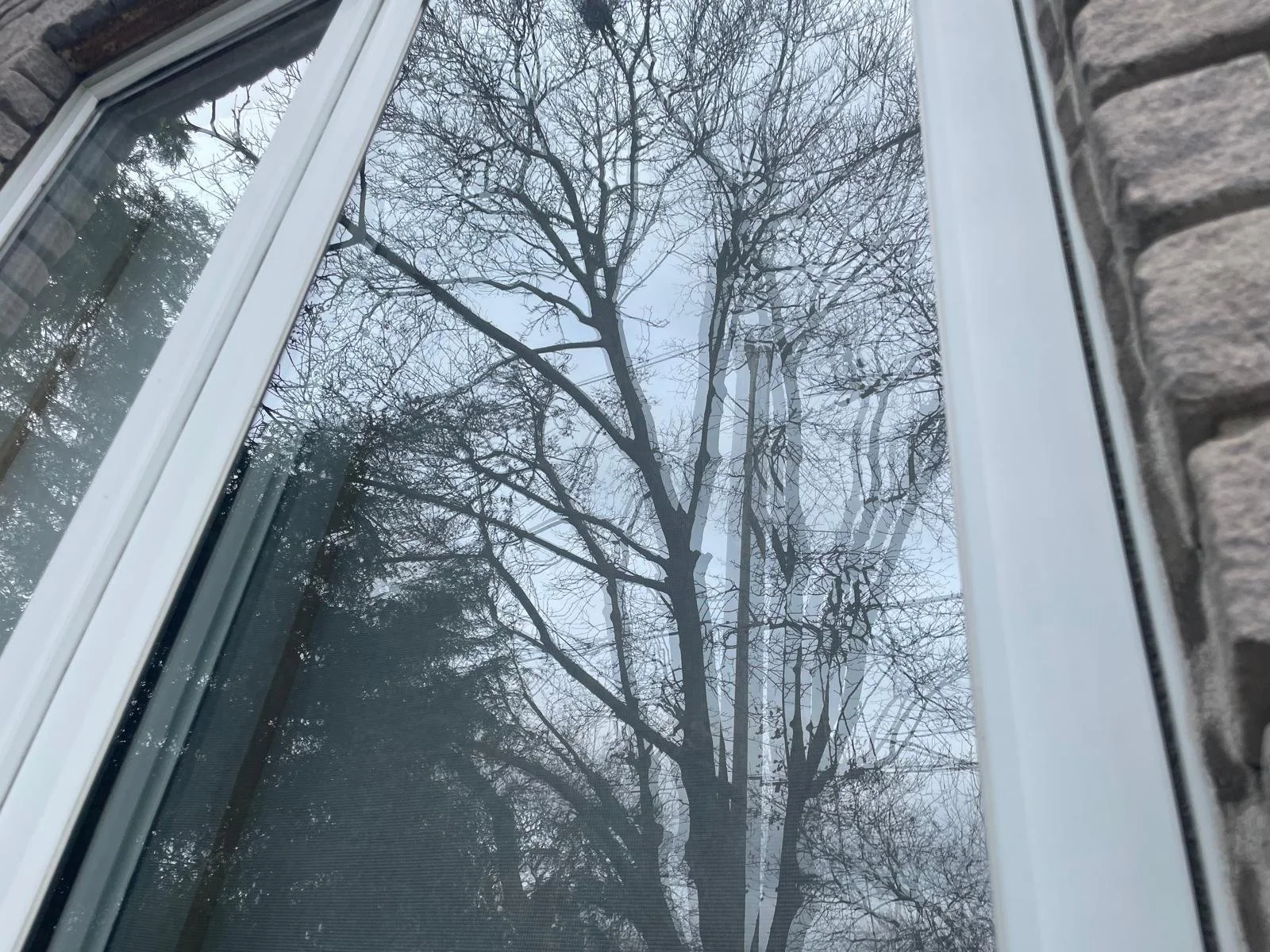 WhatsApp Image 2025-04-01 at 20.32.46 (1).jpeg