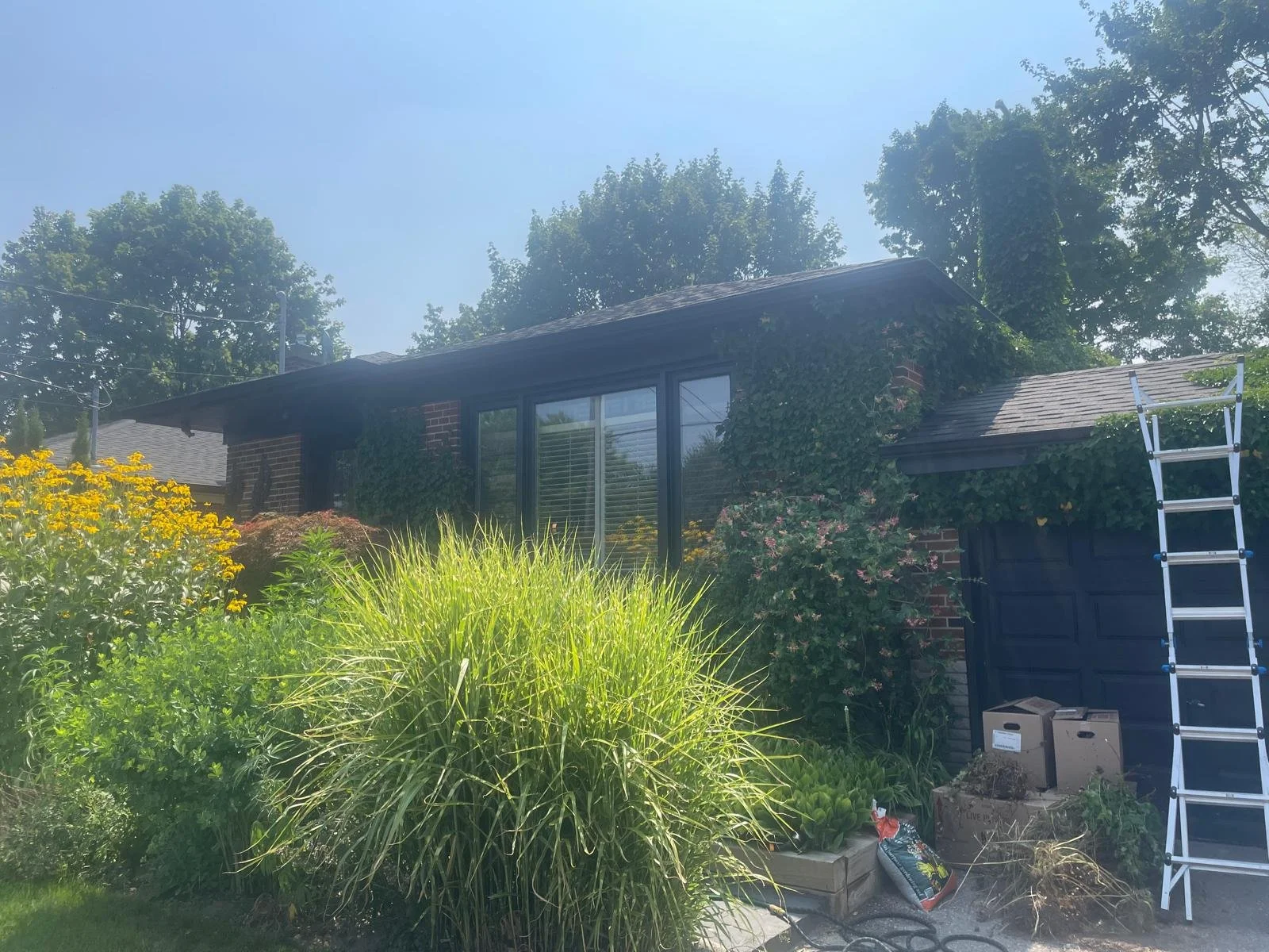 WhatsApp Image 2025-08-25 at 15.12.15 (52).jpeg