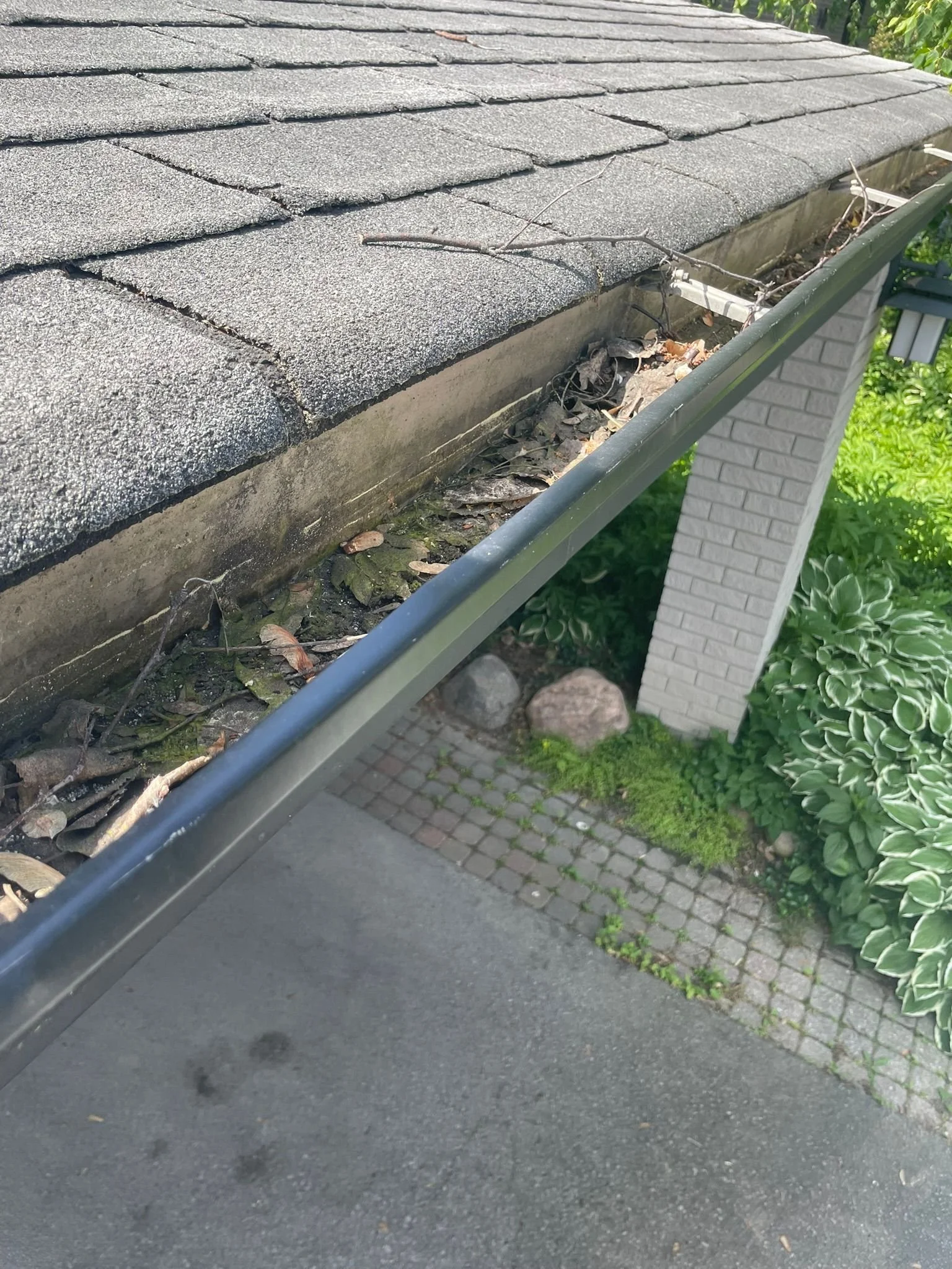 WhatsApp Image 2025-06-27 at 15.42.27.jpeg