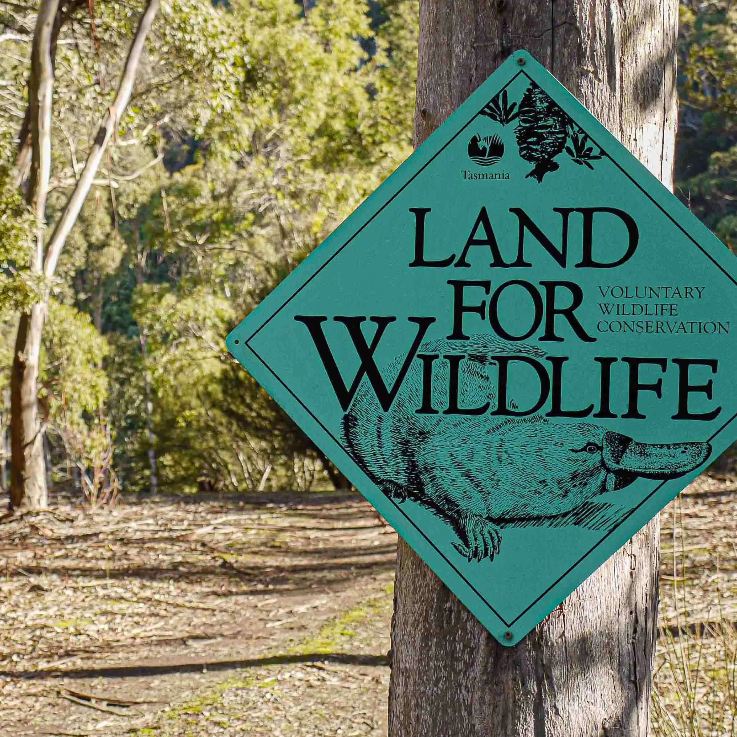 Sign that says 'Land for Wildlife' with a drawing of a platypus, and the logos of Tasmania, indicating a voluntary wildlife conservation agreement for Wild Oils Tasmania.