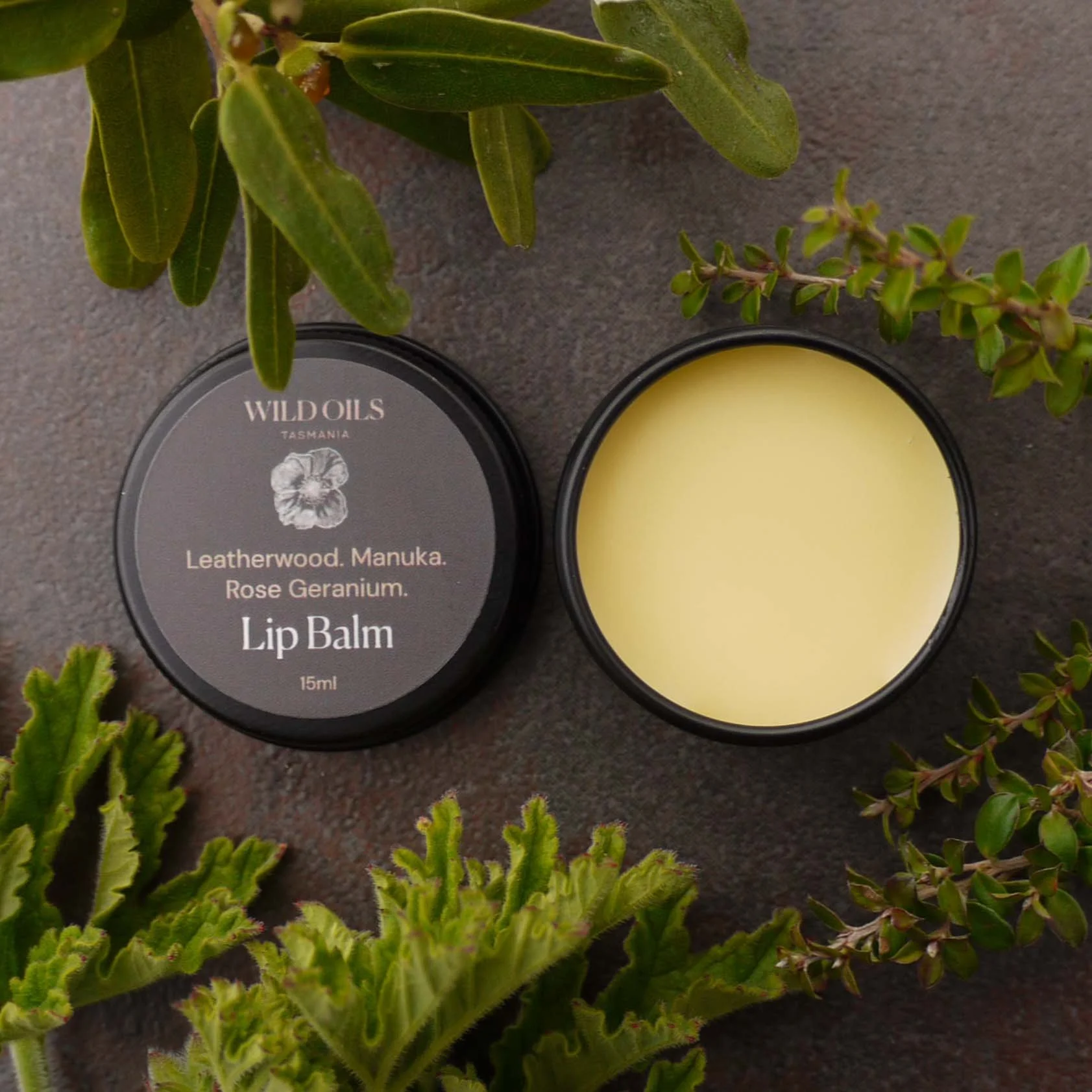 Tas Lip Balm_side open_foliage_15ml.jpg