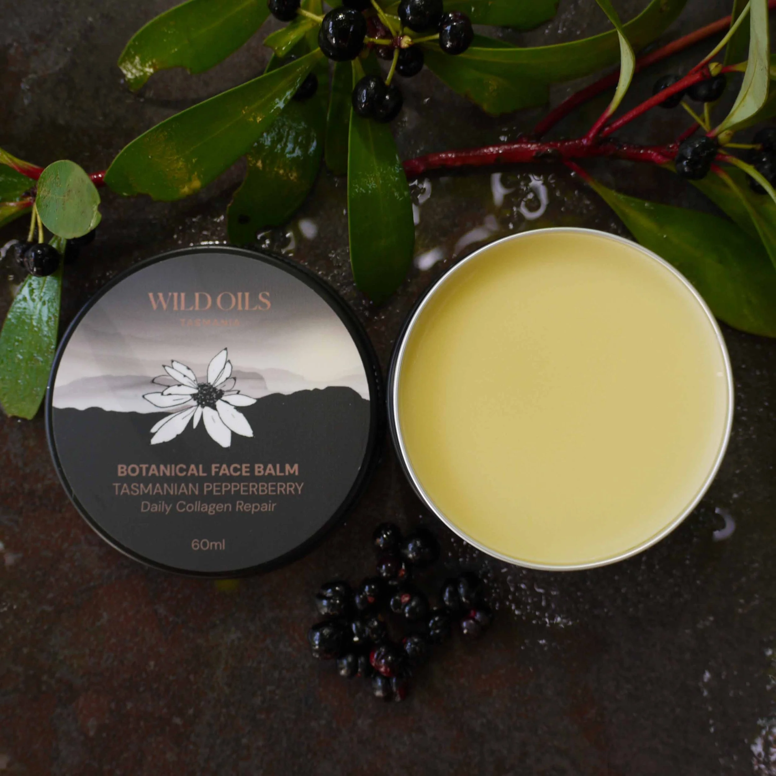 New Face_Maria Island_open.jpg