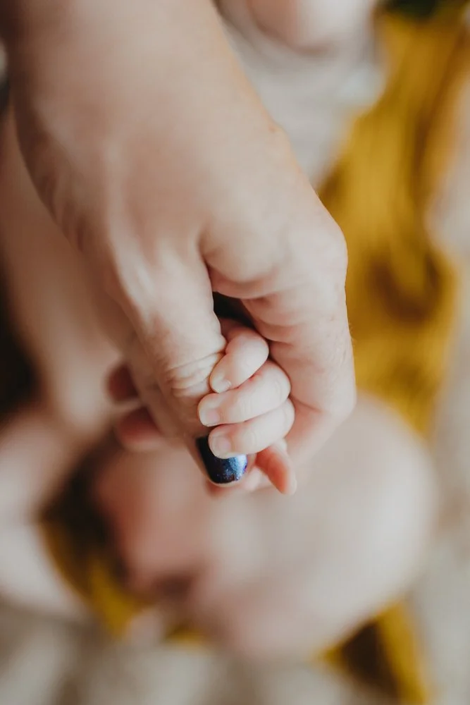 Nahaufnahme einer Hand, die ein kleines Kind hält, mit Fokus auf die Finger.