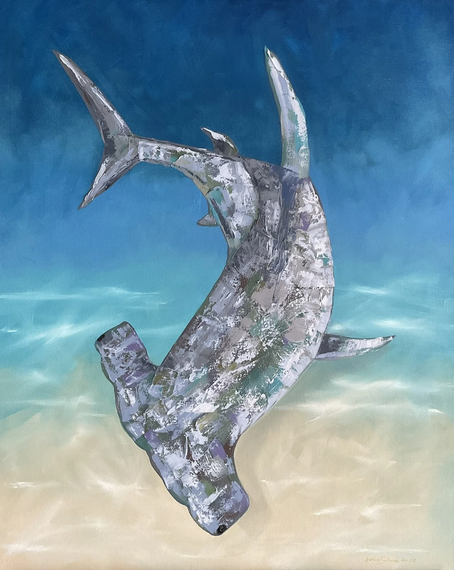 The Gnarly Hammerhead 2025 Oil on Canvas 76cmx61cm $550 