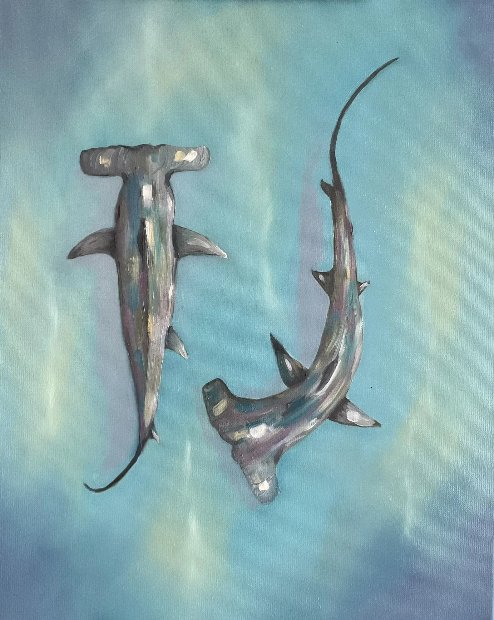 Dance of the Hammerheads 2025 Oil on Canvas 50cmx41cm $350