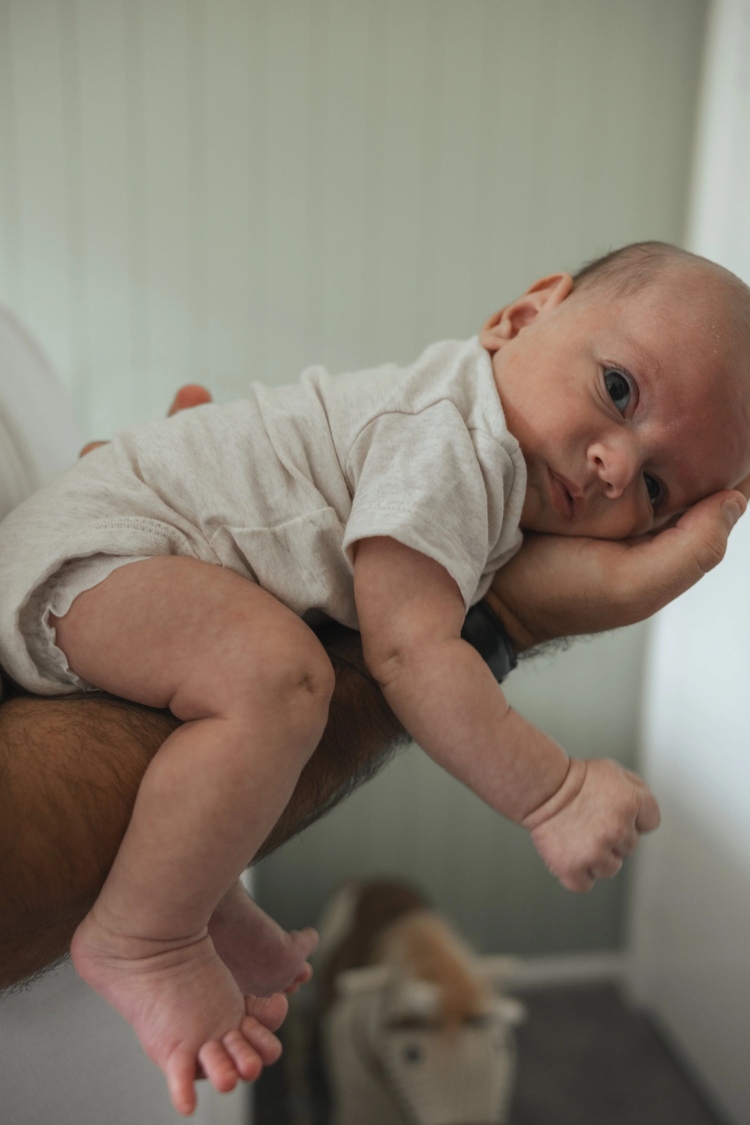 A baby lying on an adult's arm, looking at the camera with a curious expression, in a room with light-colored walls.
