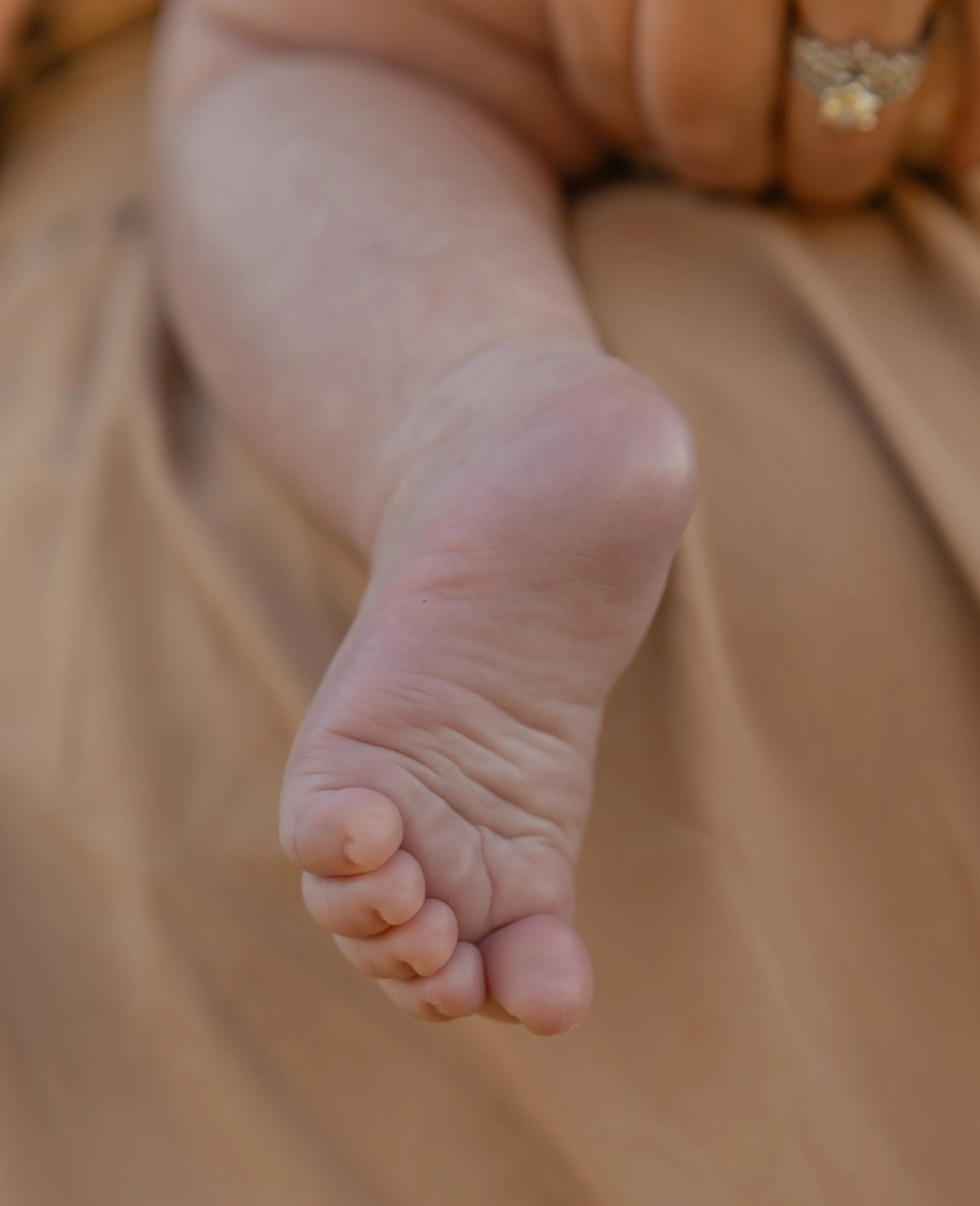 Close-up of a baby's foot with tiny toes, wearing a light pink sock, held by an adult, with a beige background.