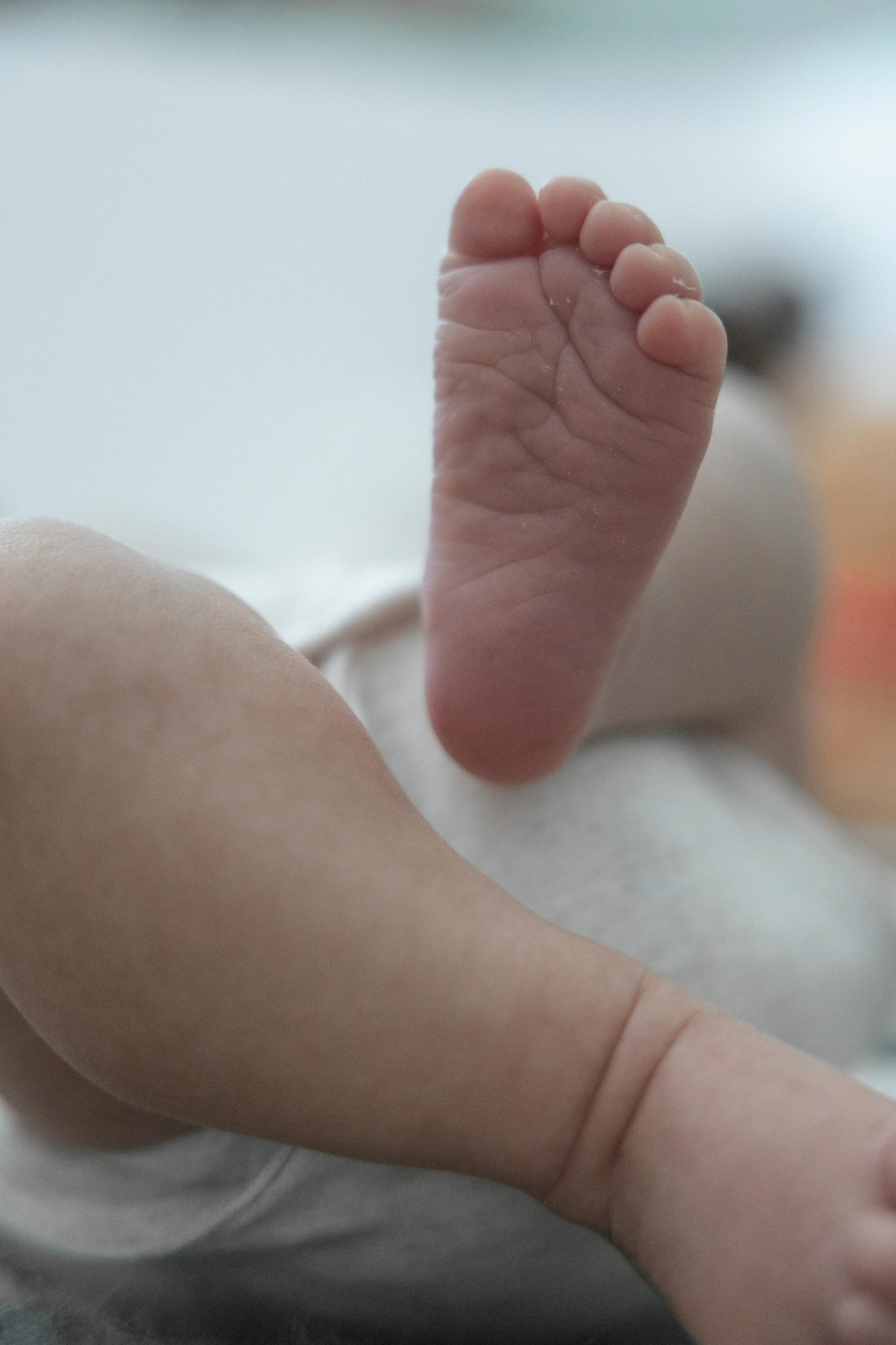 Close-up of a newborn baby's tiny foot and arm, showing soft skin and delicate details.