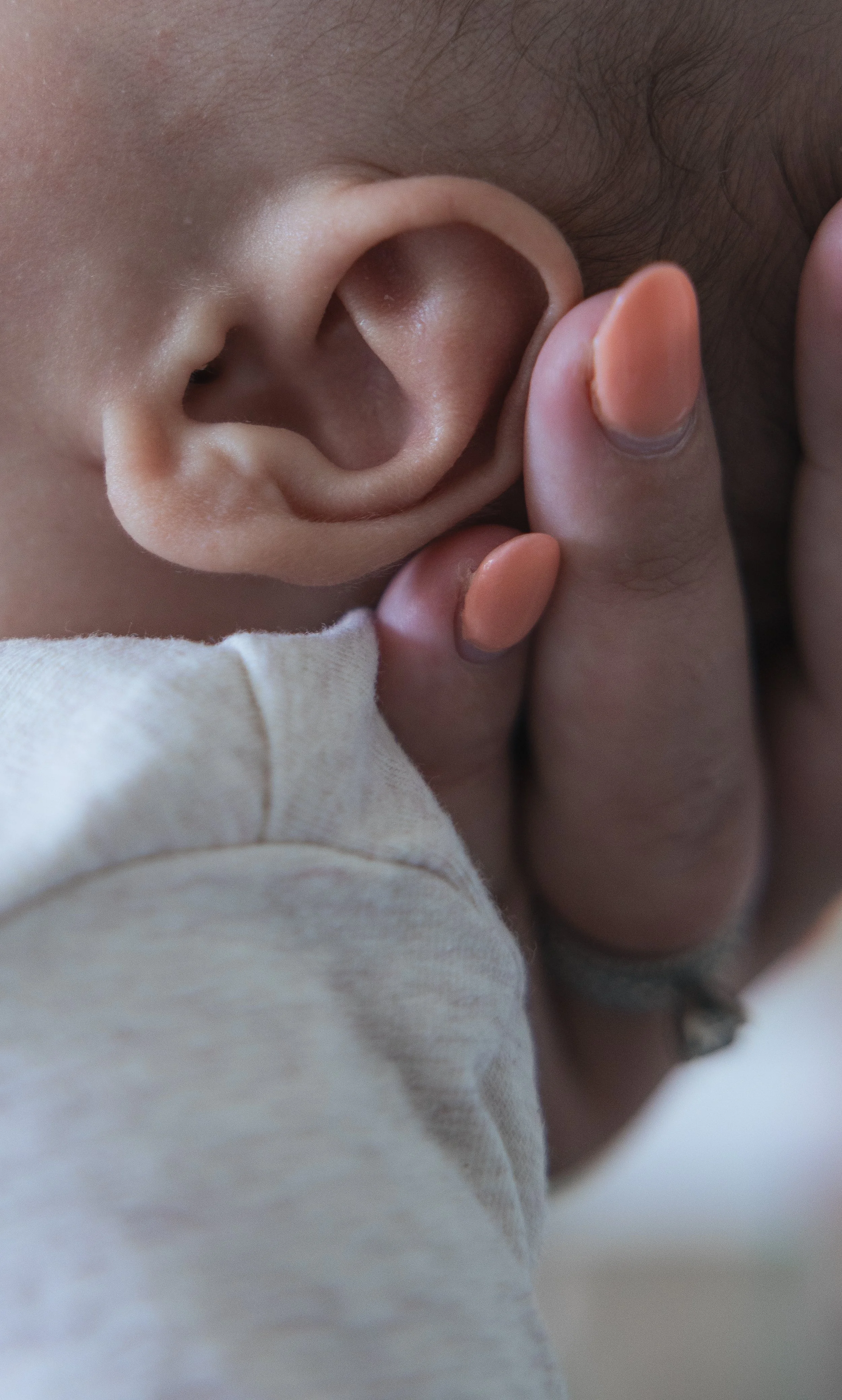 A close-up of a baby's ear being gently held by an adult's hand.