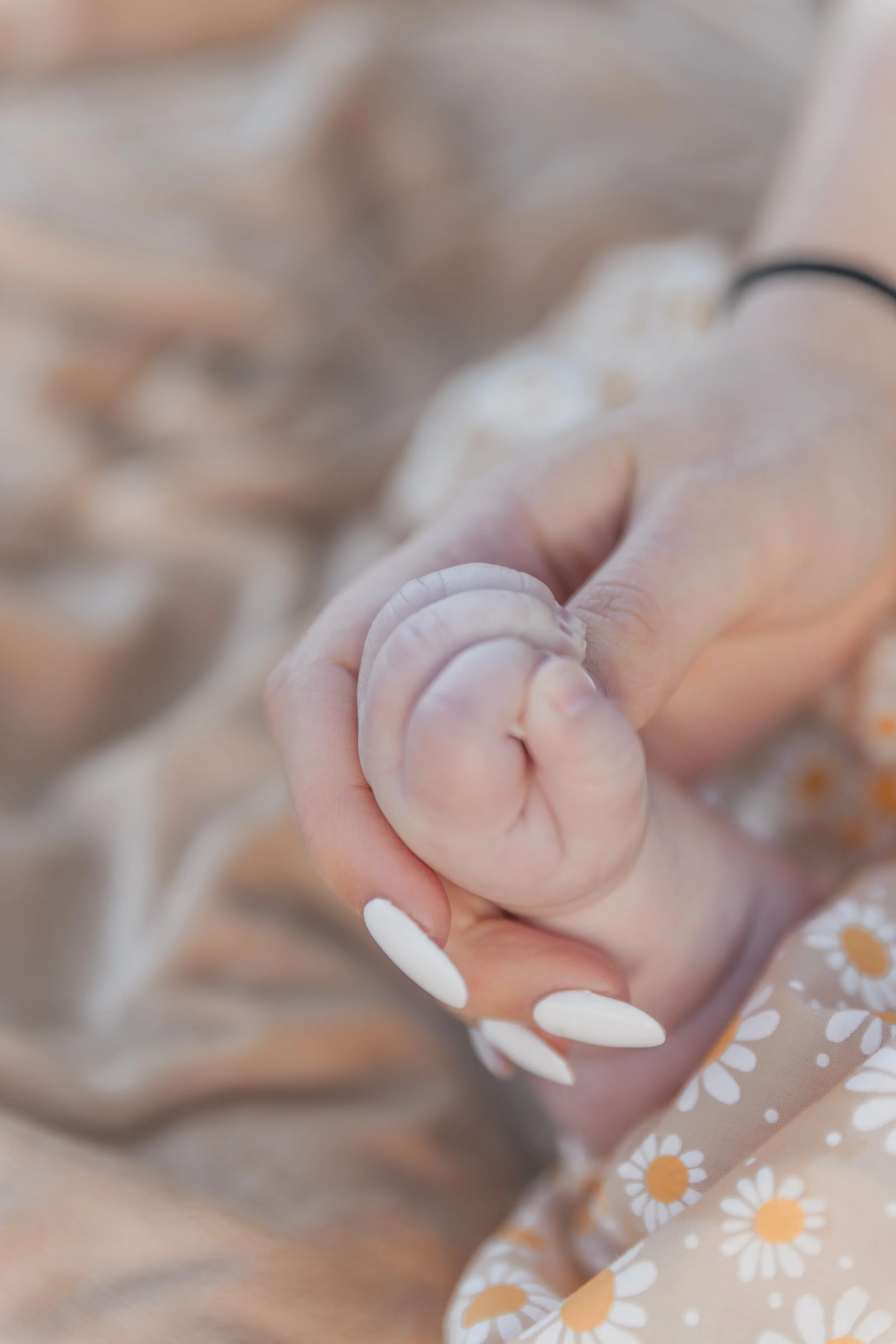 Close-up of a baby sleeping, holding an adult's finger with their hand, nearby someone's nails painted white, and a floral patterned fabric in the background.