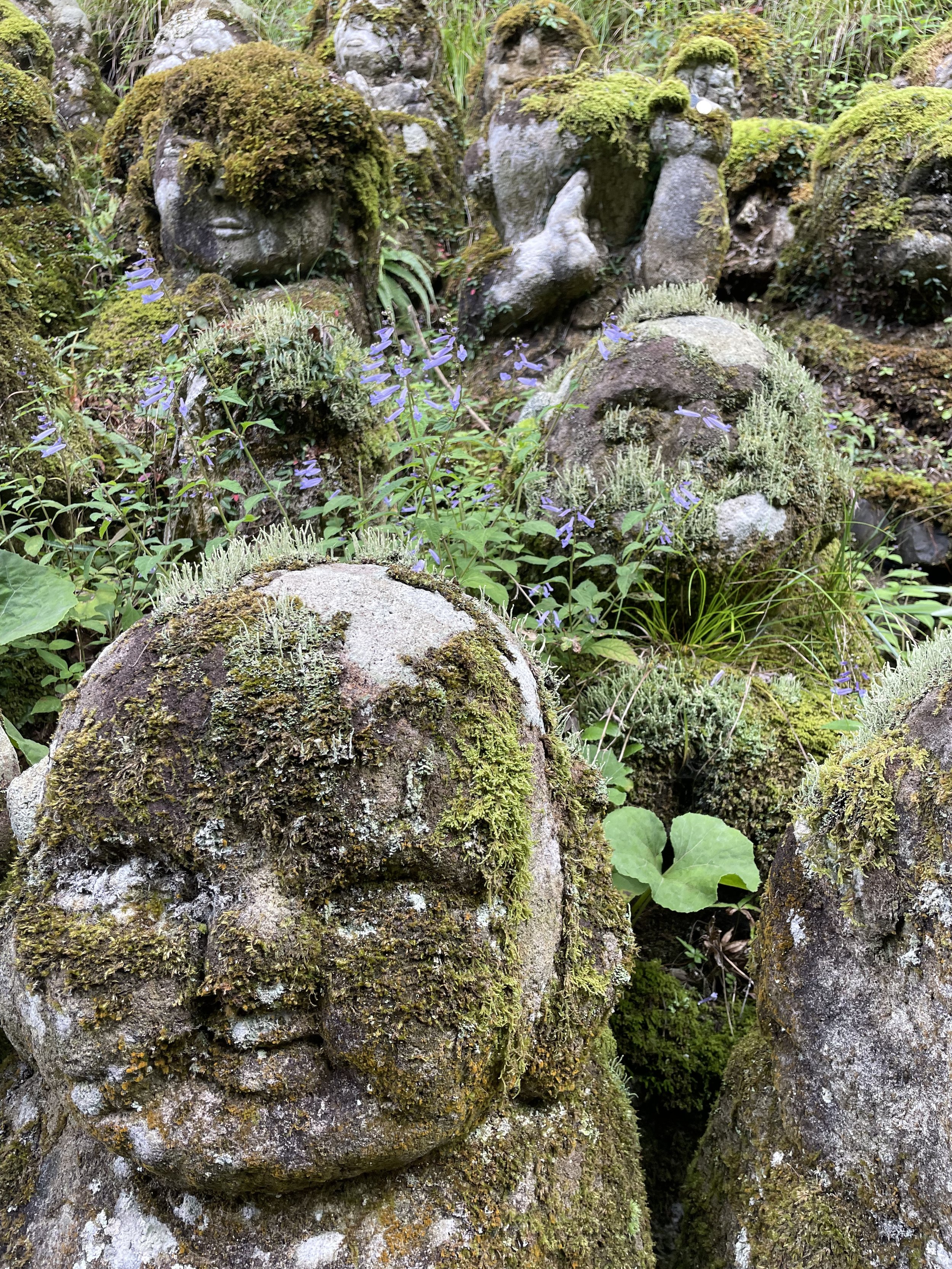 Otagi Nenbutsuji Temple: My Favorite Temple in Kyoto