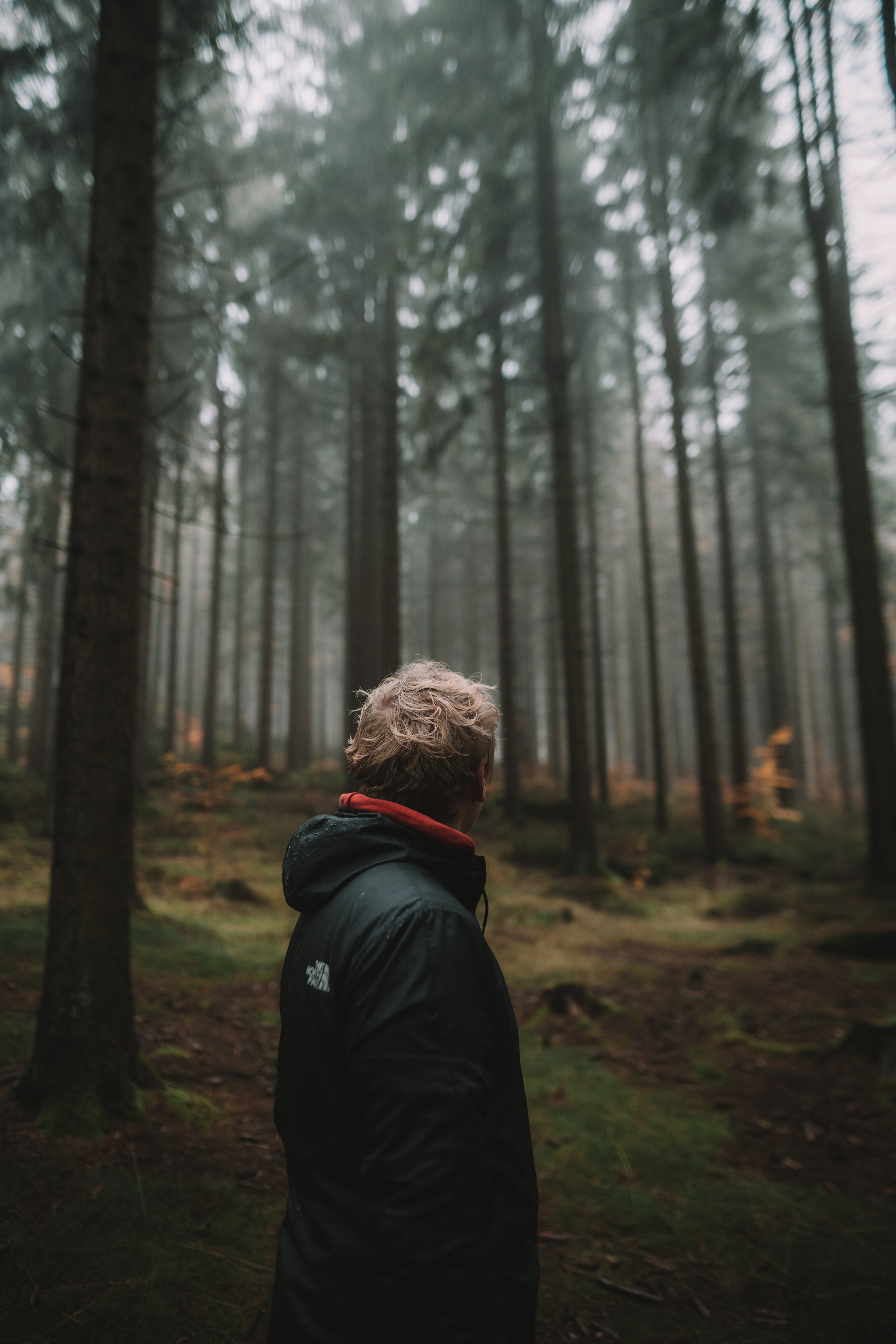 Landscape-CL-4.JPG