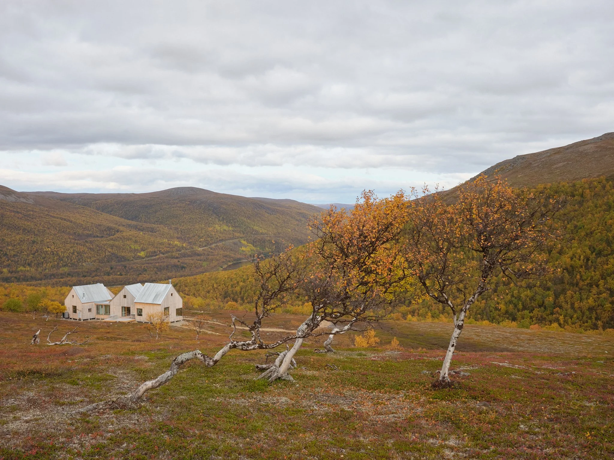 4 cabin house 0095.jpg