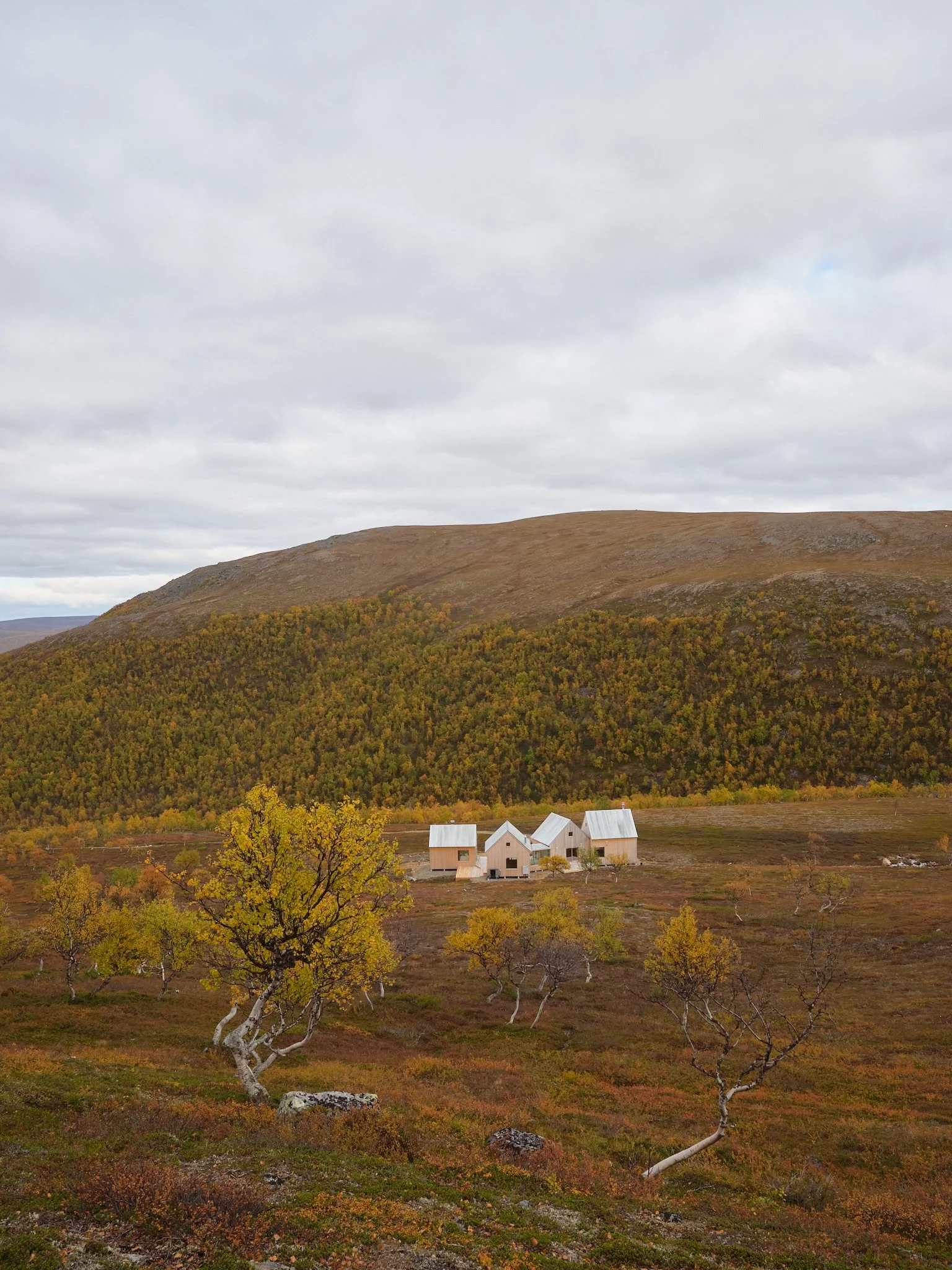 4 cabin house 0121.jpg