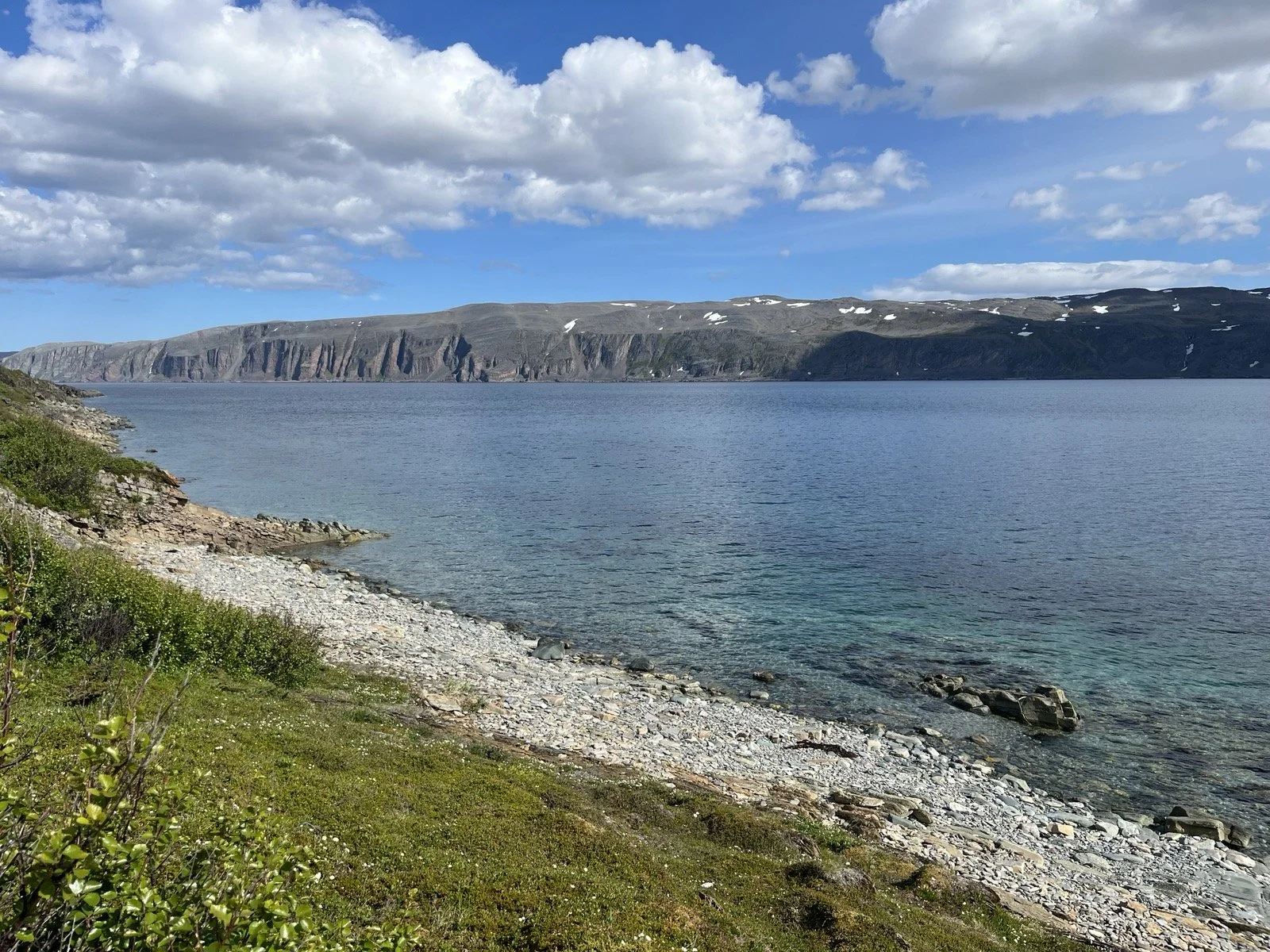 A scenic view of a rocky Arctic Ocean shoreline with green vegetation, clear blue water, rugged cliffs in the distance, and a partly cloudy sky.