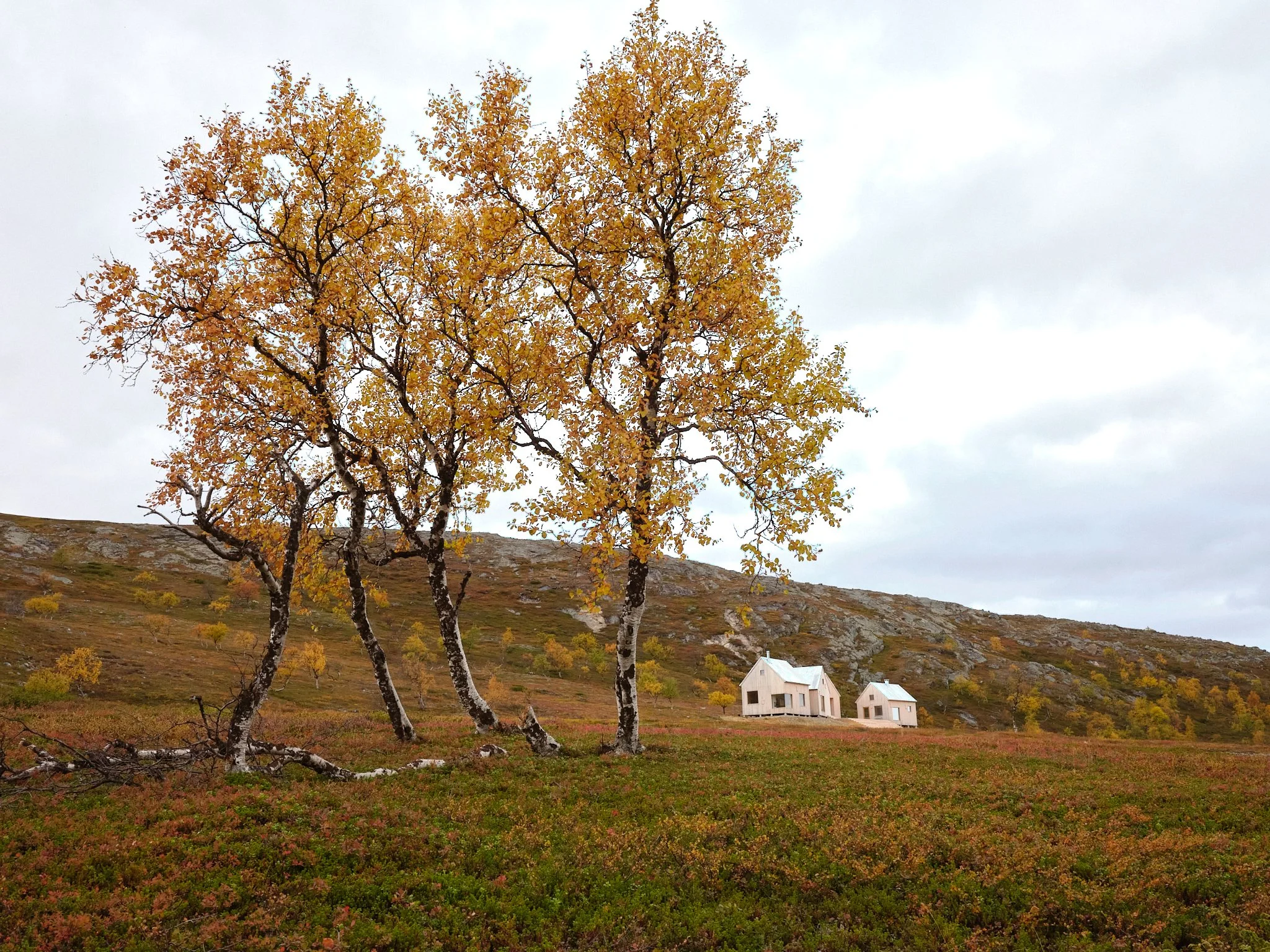 4 cabin house 0069.jpg