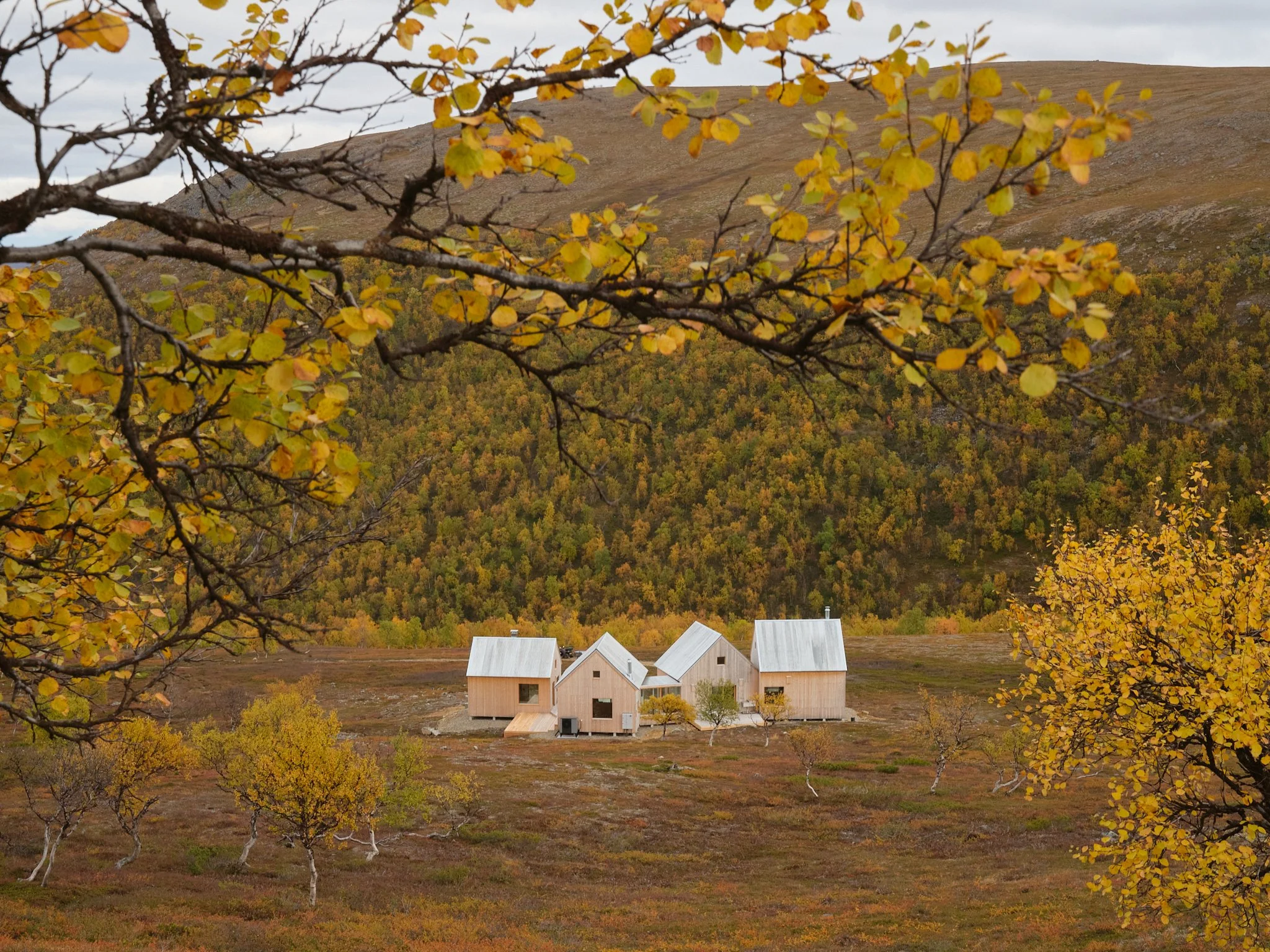 4 cabin house 0115.jpg