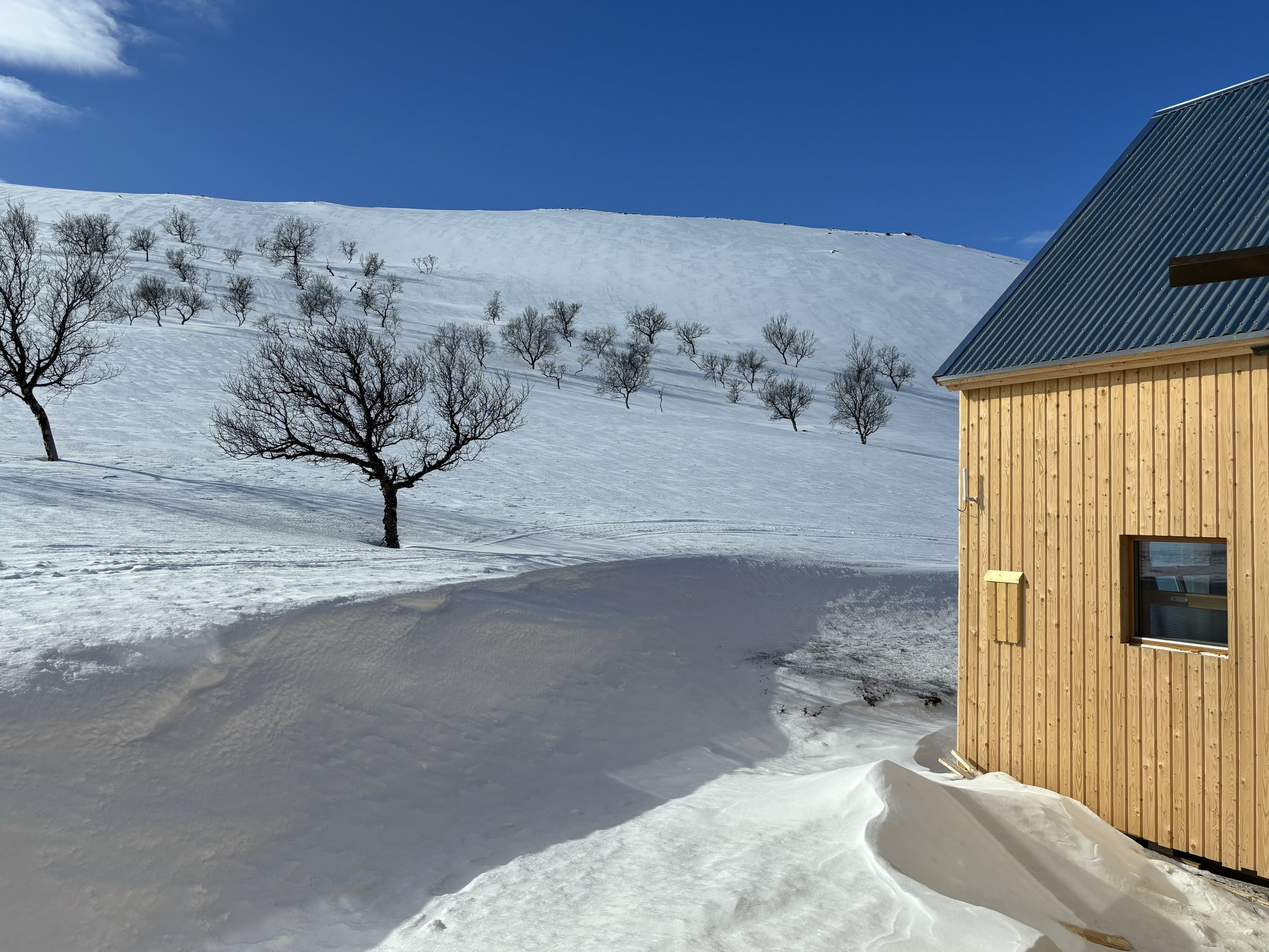 Näkymä länteen keväällä 2025.jpg