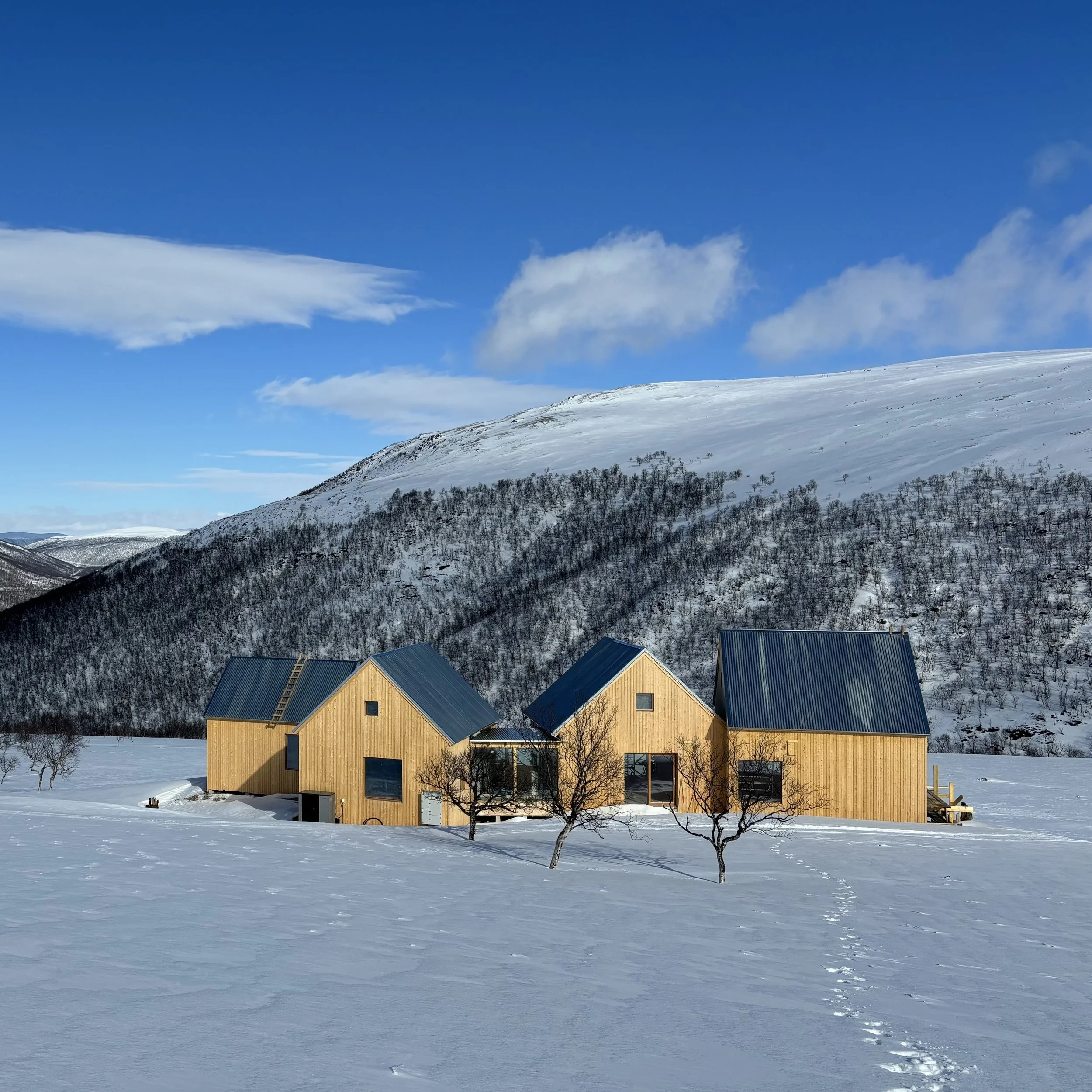 Snow-covered landscape with modern wood-clad cabins, leafless birches, and fells in the background under a blue sky with scattered clouds.