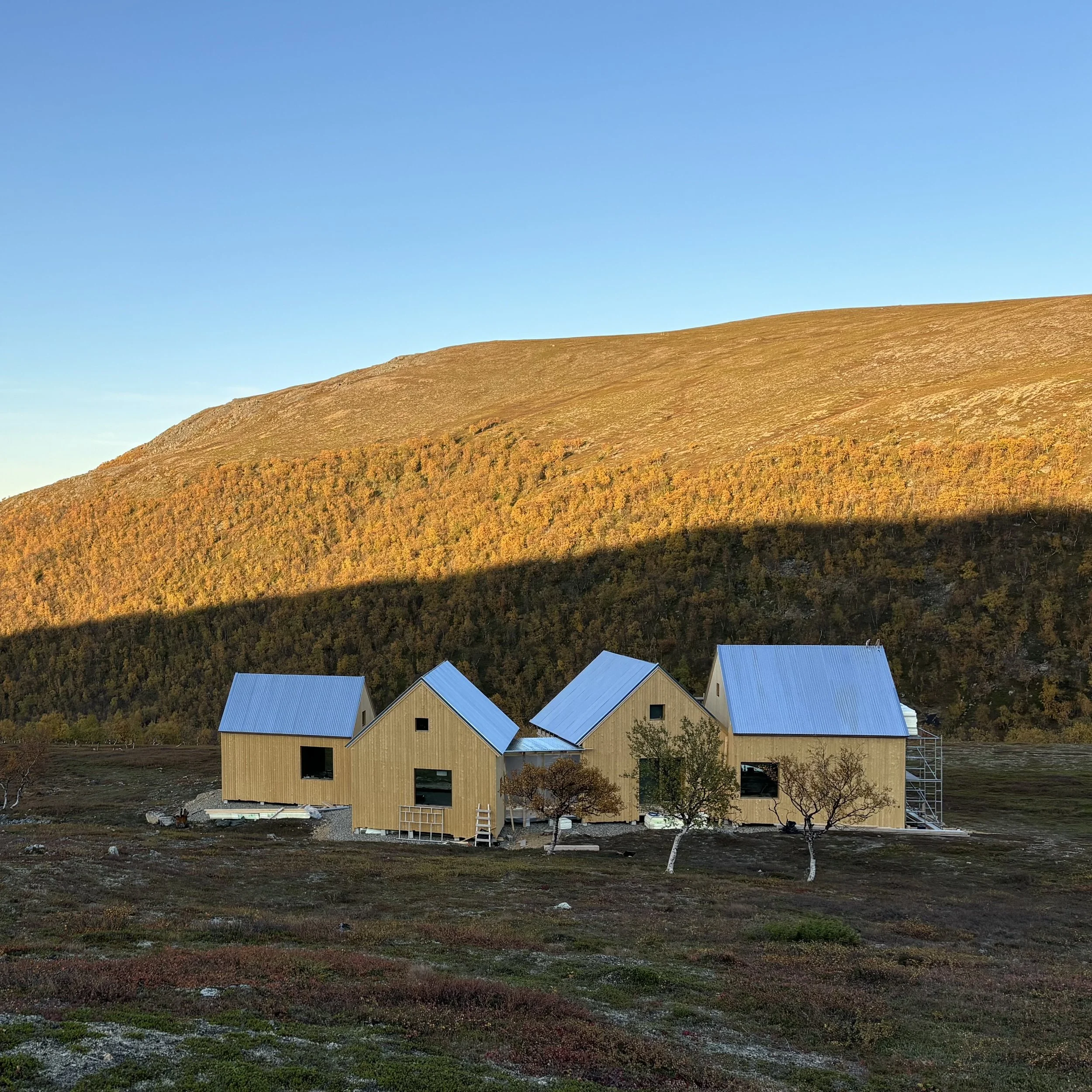 Modern wood-clad cabins with metal roofs, a fell covered in birches with fall foliage, under a clear blue sky.
