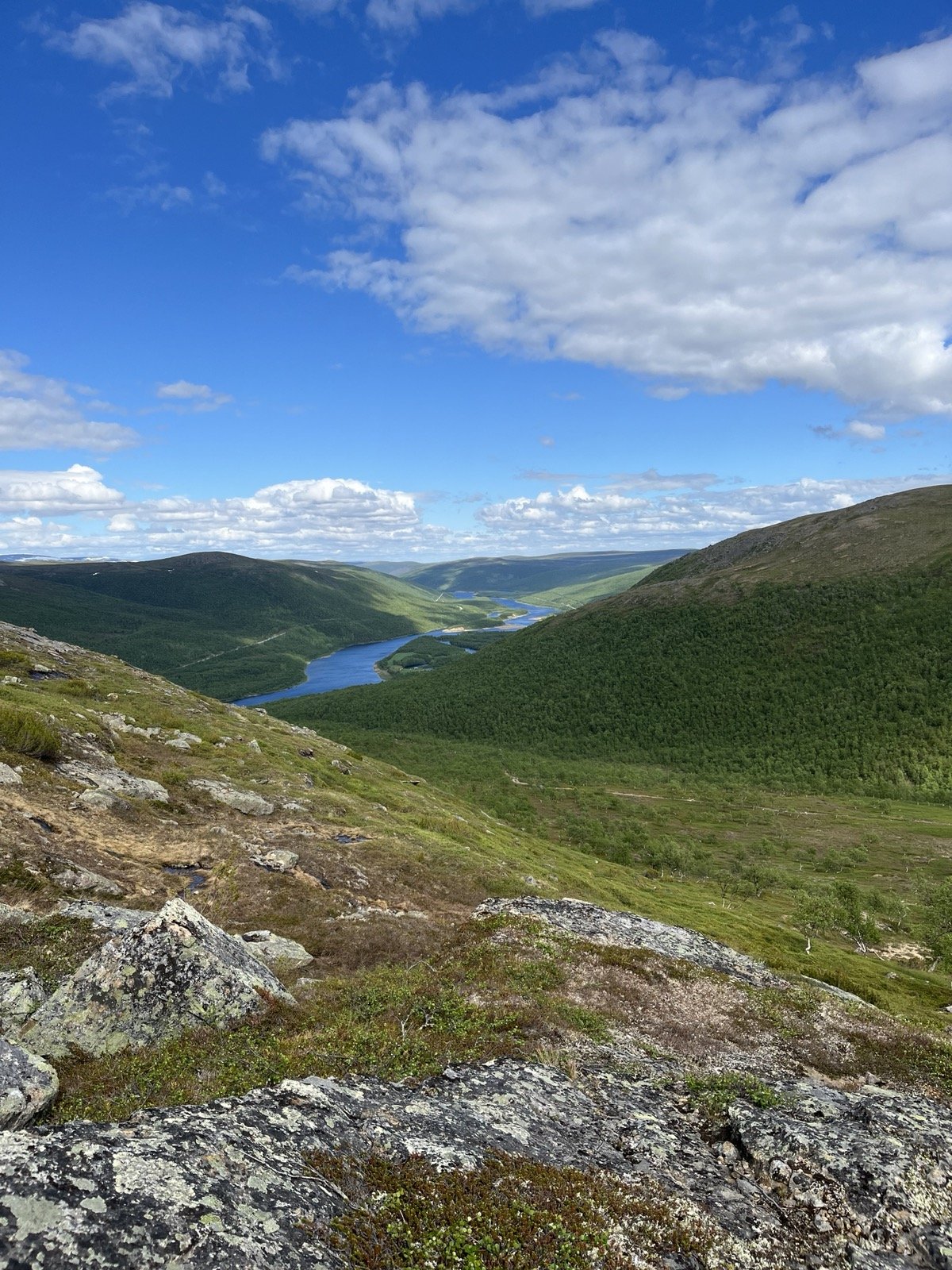 Scenic view of an Arctic river winding through green fells under a partly cloudy blue sky.