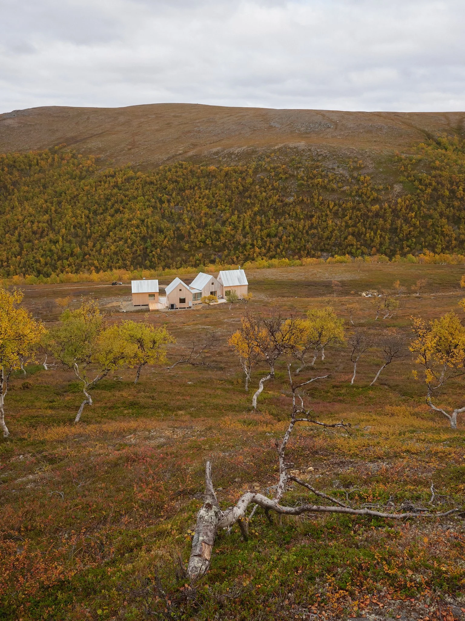 4 cabin house 0130.jpg