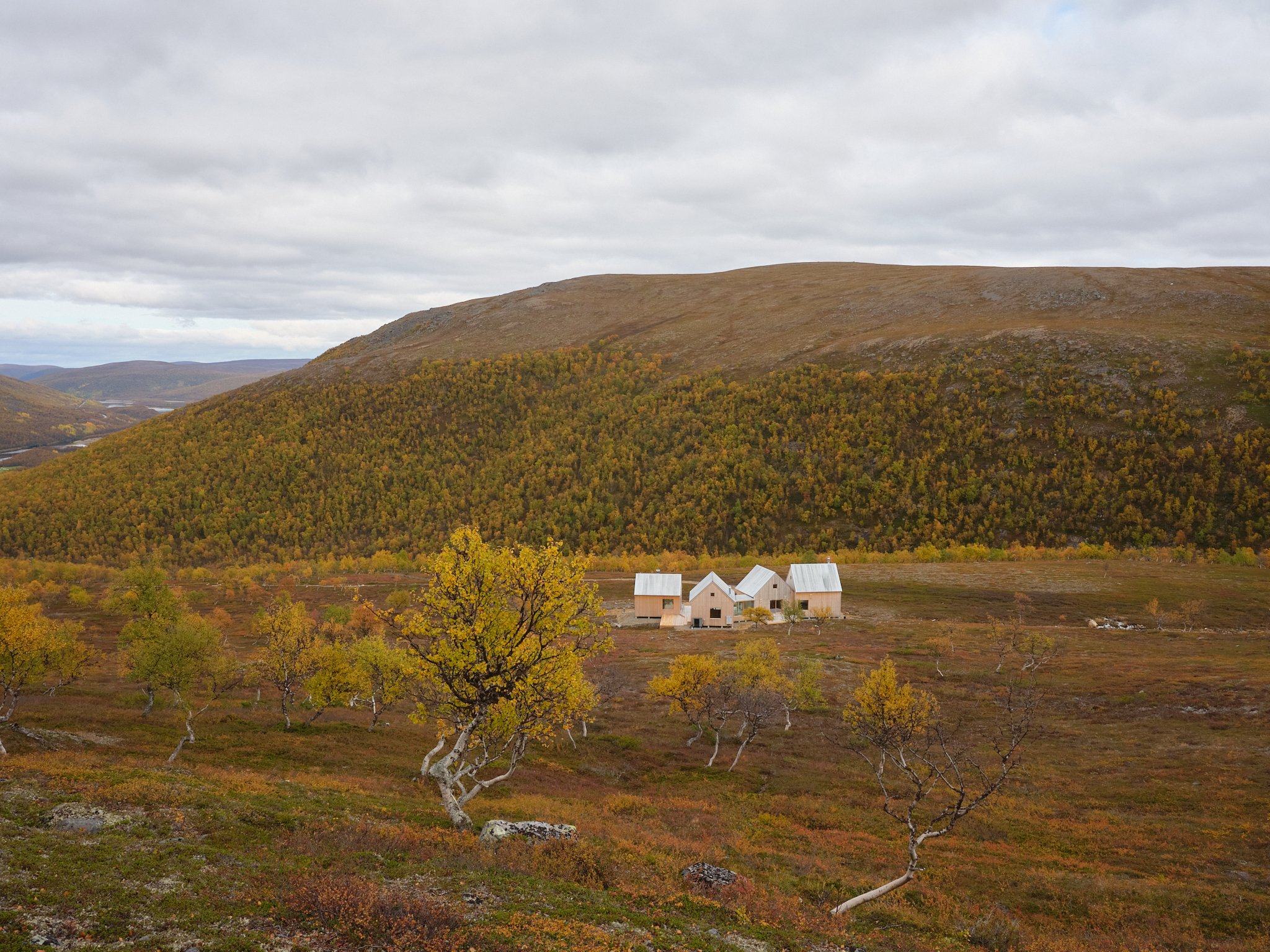4 cabin house 0122.jpg