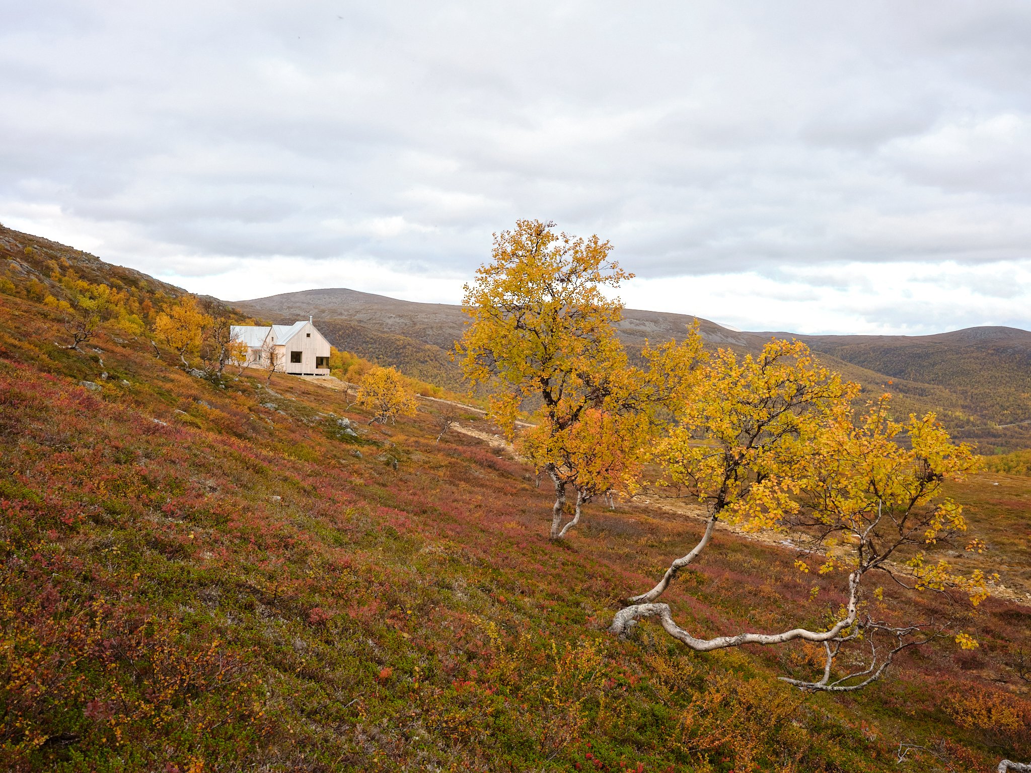 4 cabin house 0081.jpg