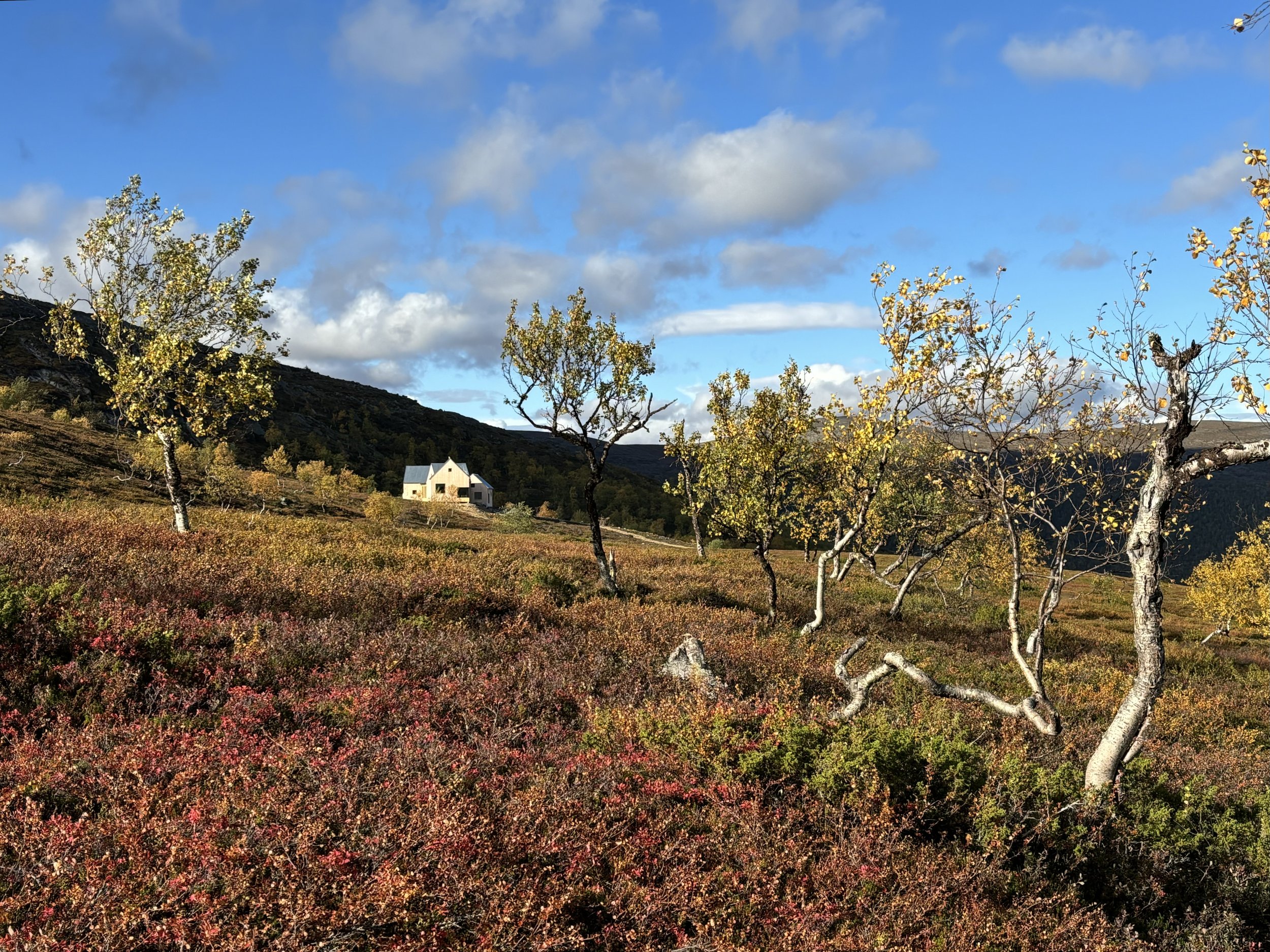 Mökki syyskuussa 2025 2 (1).jpg