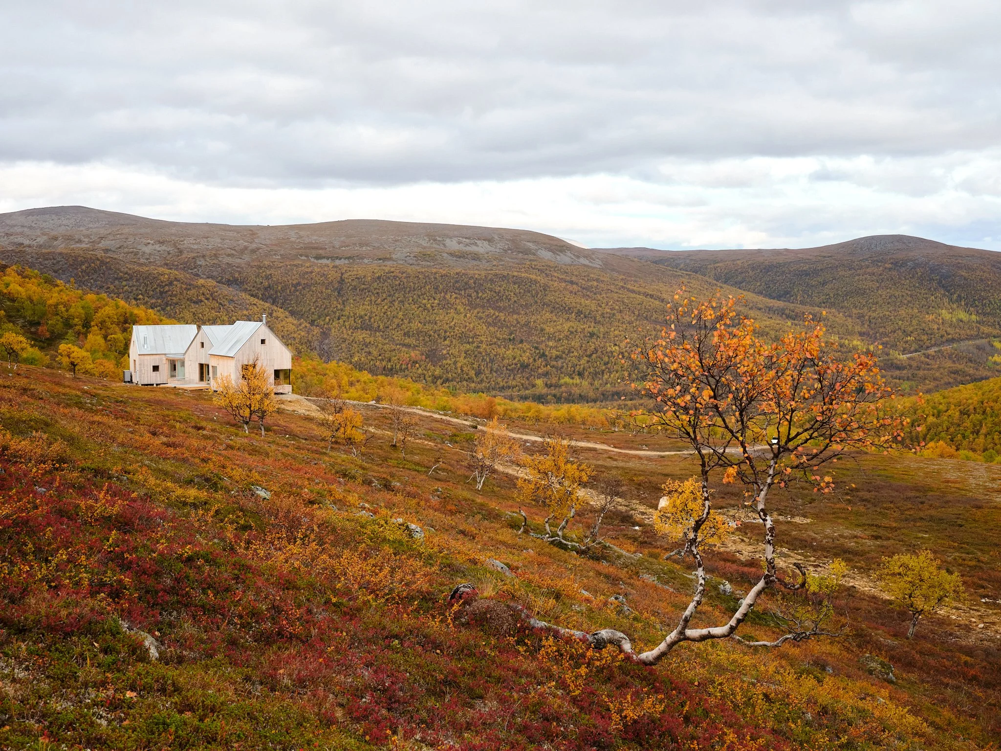 4 cabin house 0085.jpg