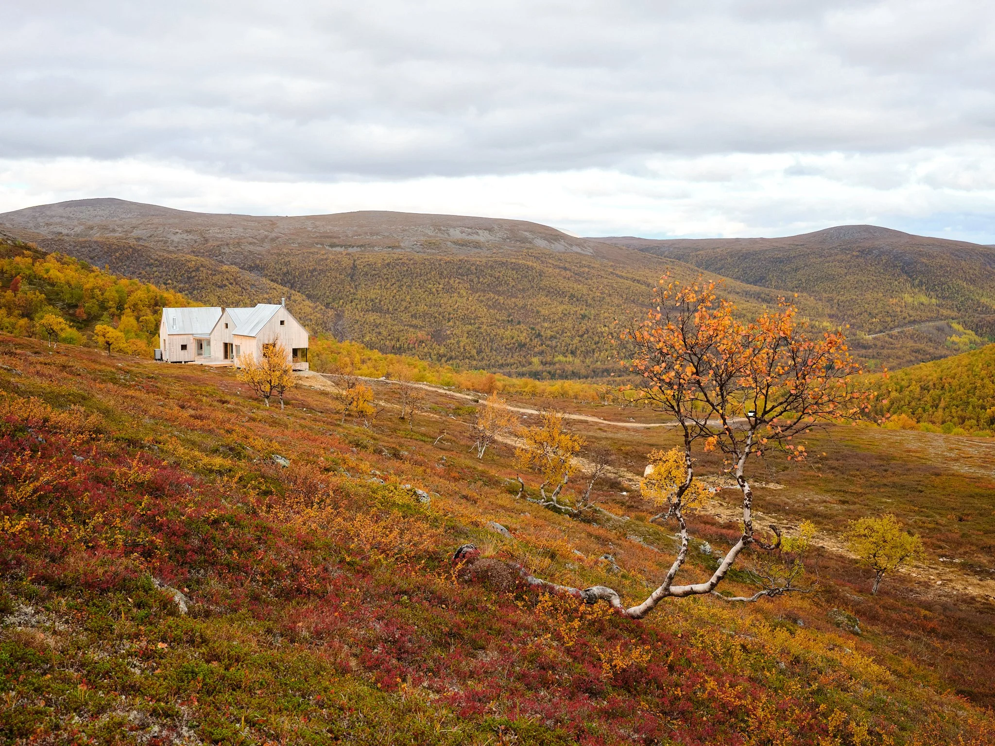 4 cabin house 0086.jpg