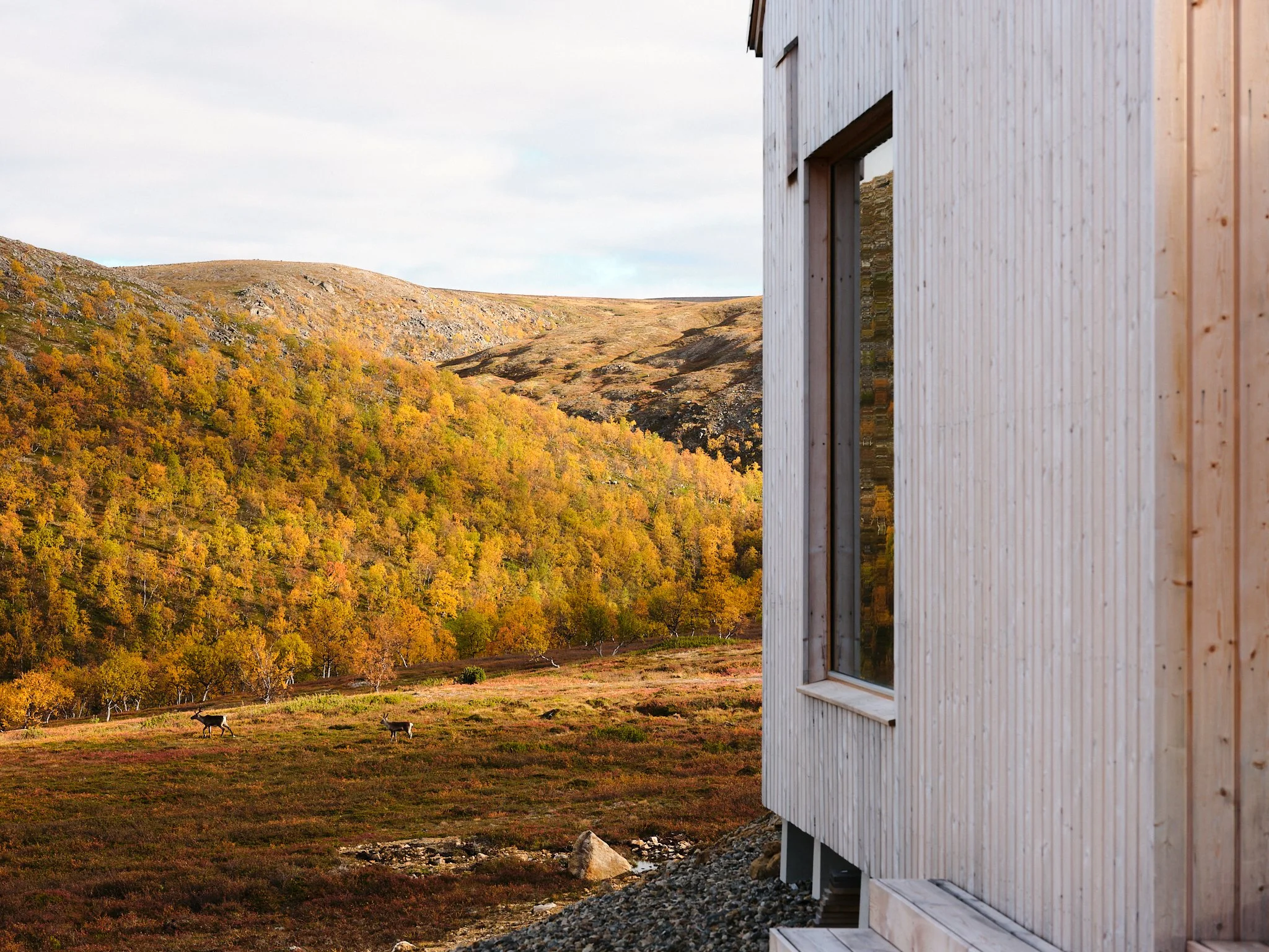 4 cabin house 0537.jpg