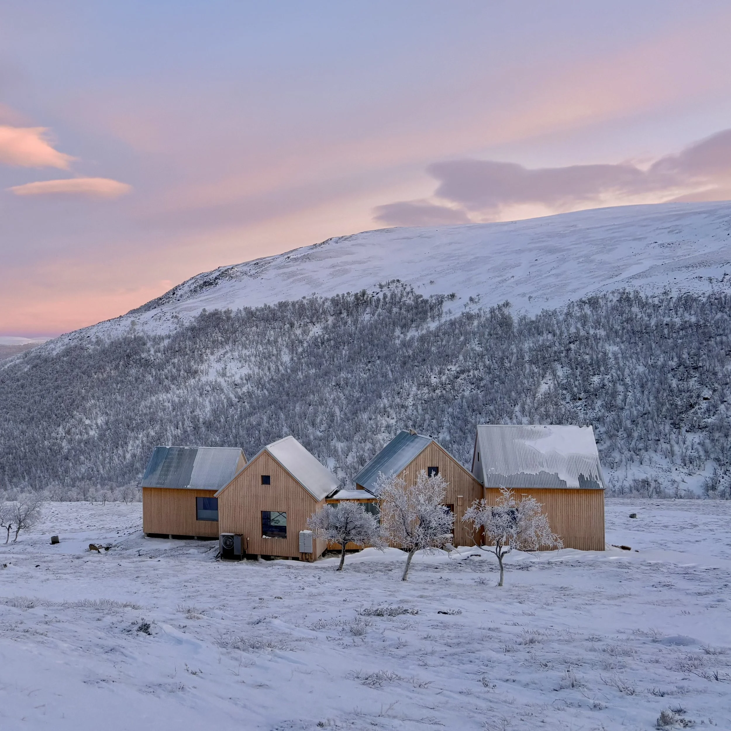 Snow-covered fell with scattered leafless trees and a row of modern wooden houses with metal roofs at the bottom, under a pastel-colored sky with soft pink and purple clouds.