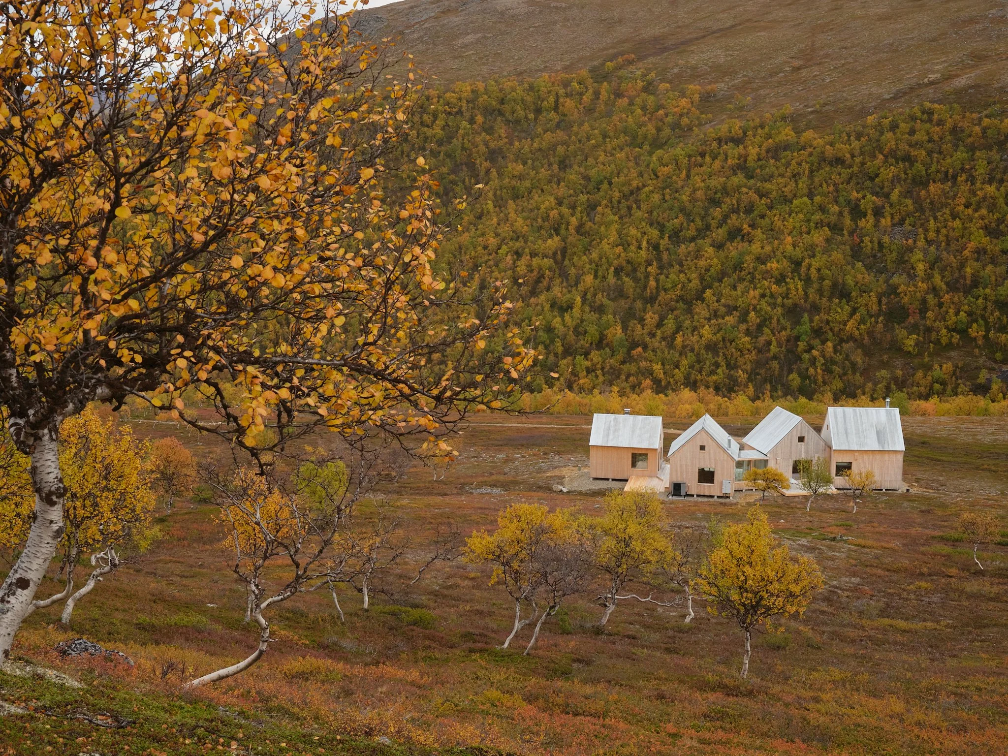4 cabin house 0120.jpg
