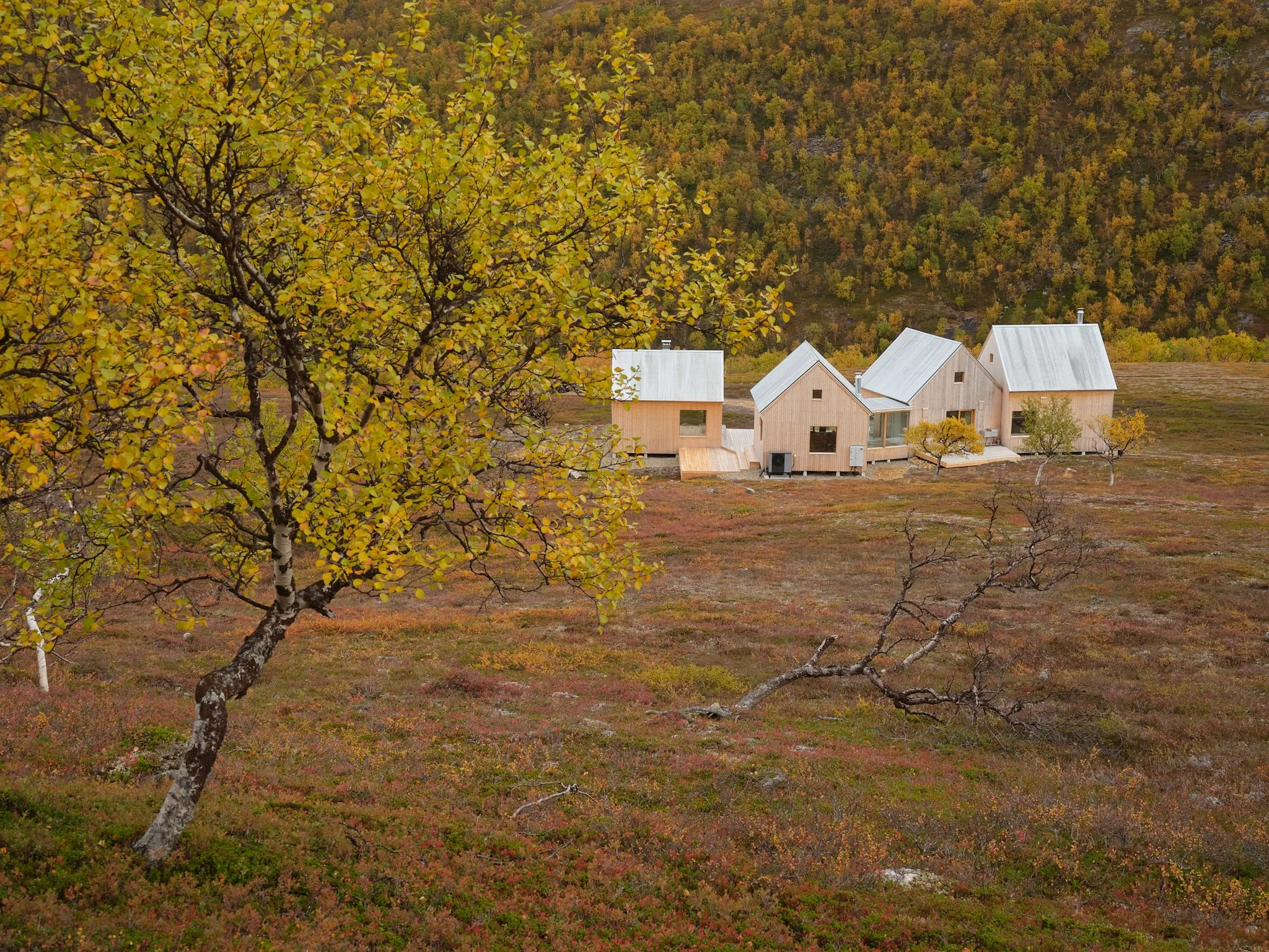 4 cabin house 0137.jpg
