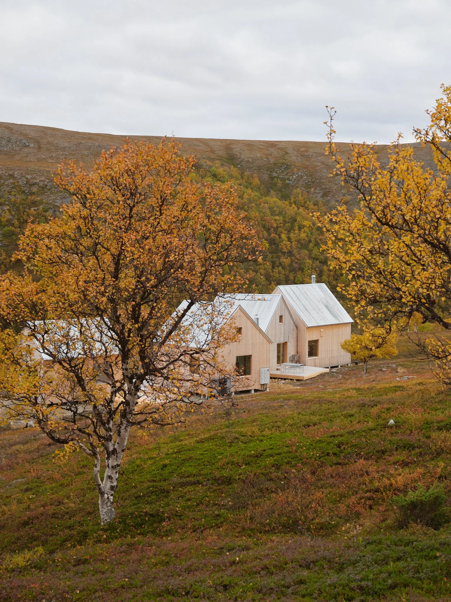 4 cabin house 0150.jpg