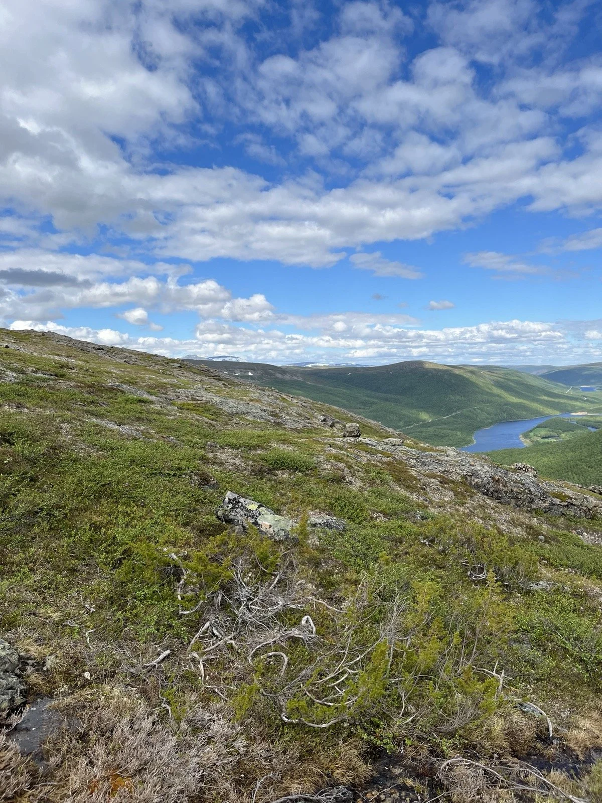 Scenic view of a fell landscape with green birches, rocks, a river winding through the valley, and a partly cloudy blue sky.