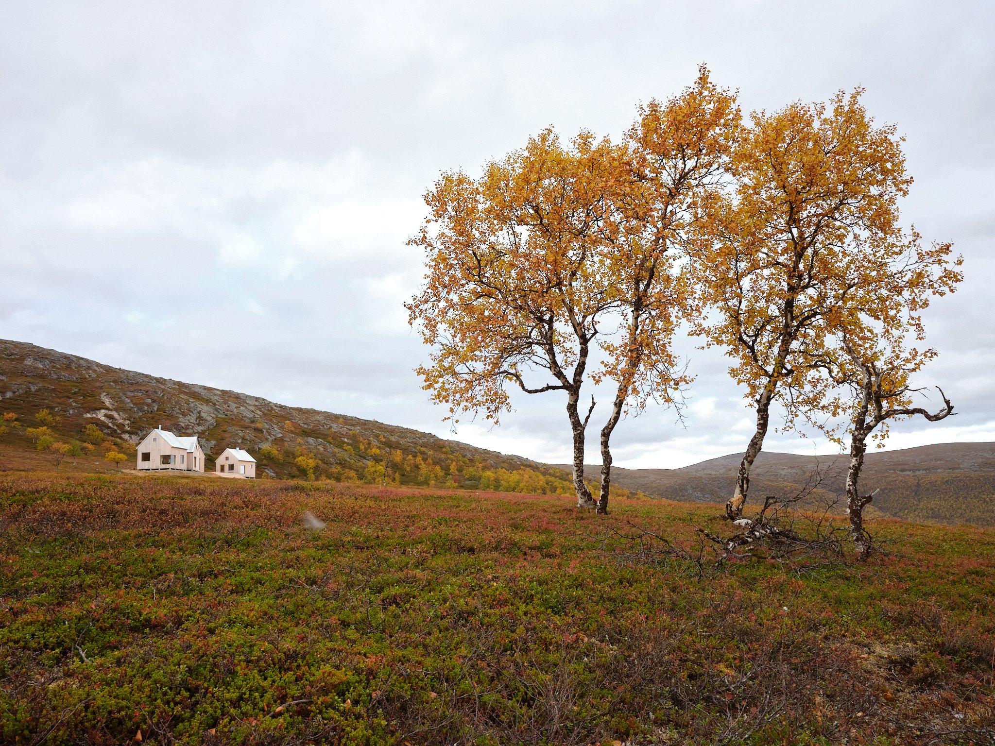 4 cabin house 0071.jpg