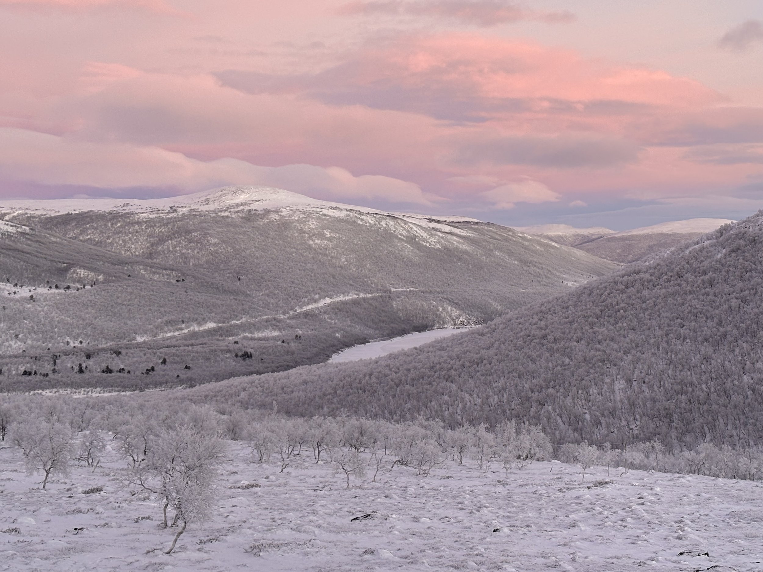 Näkymä koilliseen marraskuussa 2025.jpg