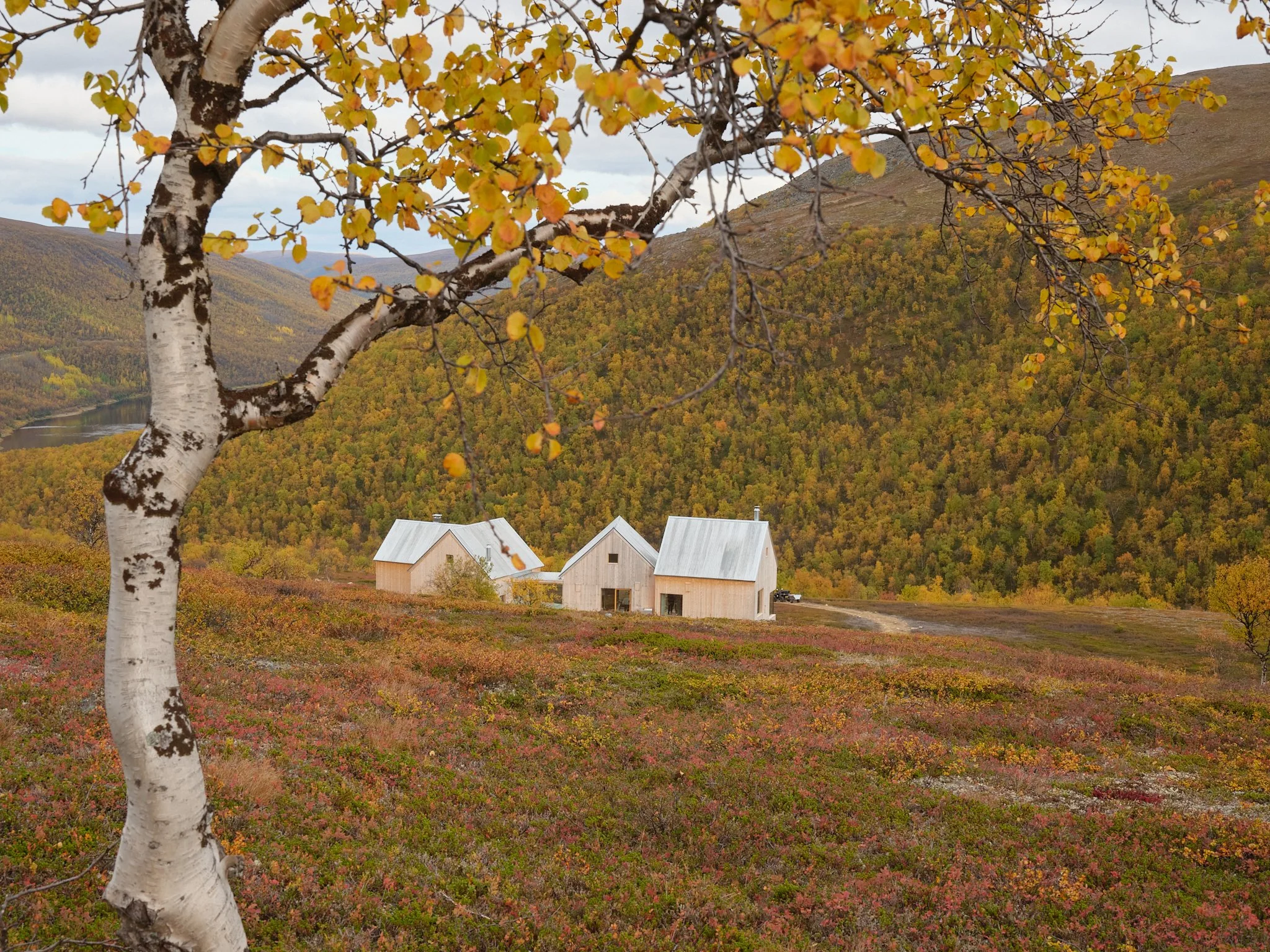 4 cabin house 0104.jpg