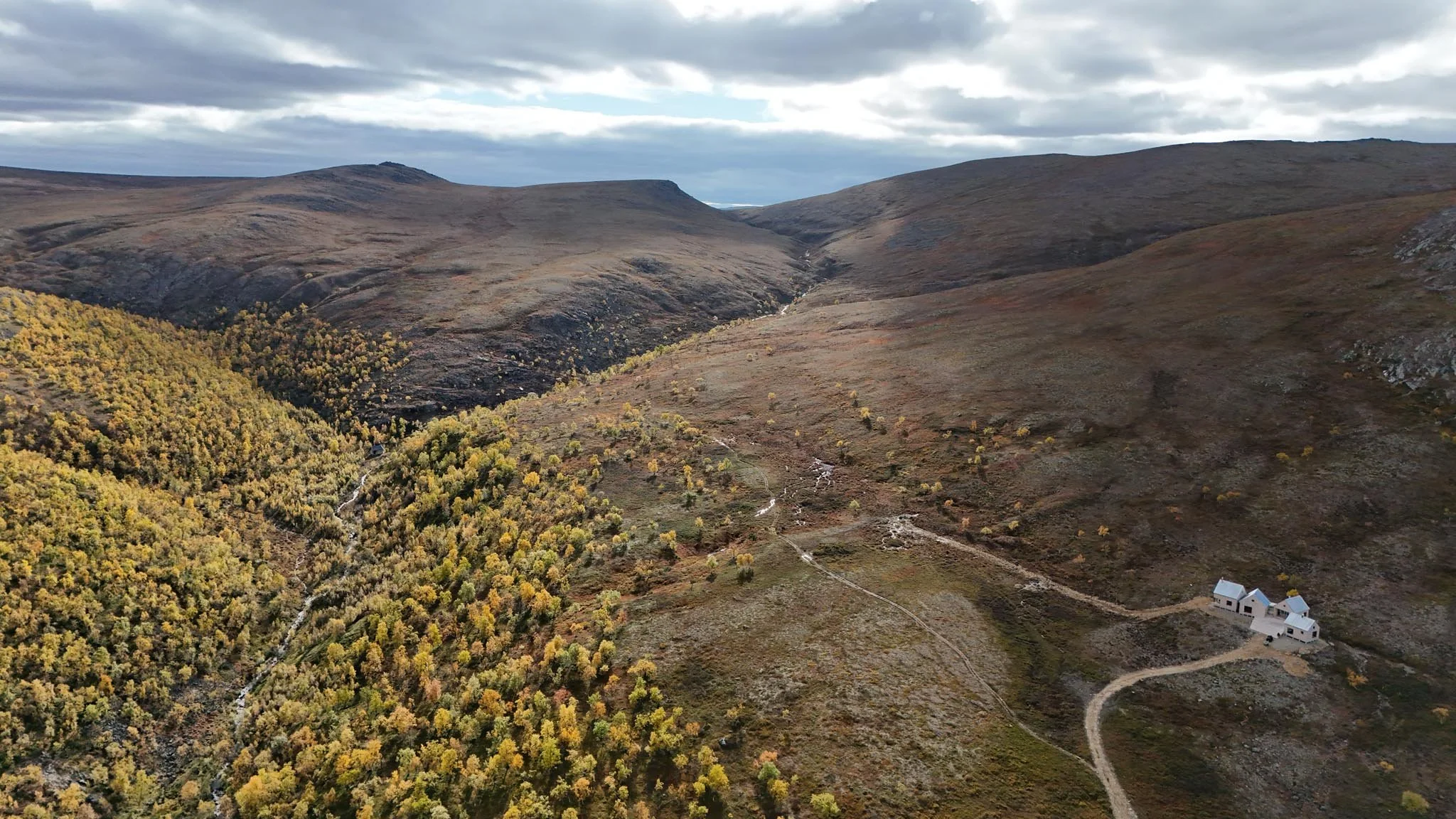 4 cabin drone0082.jpg