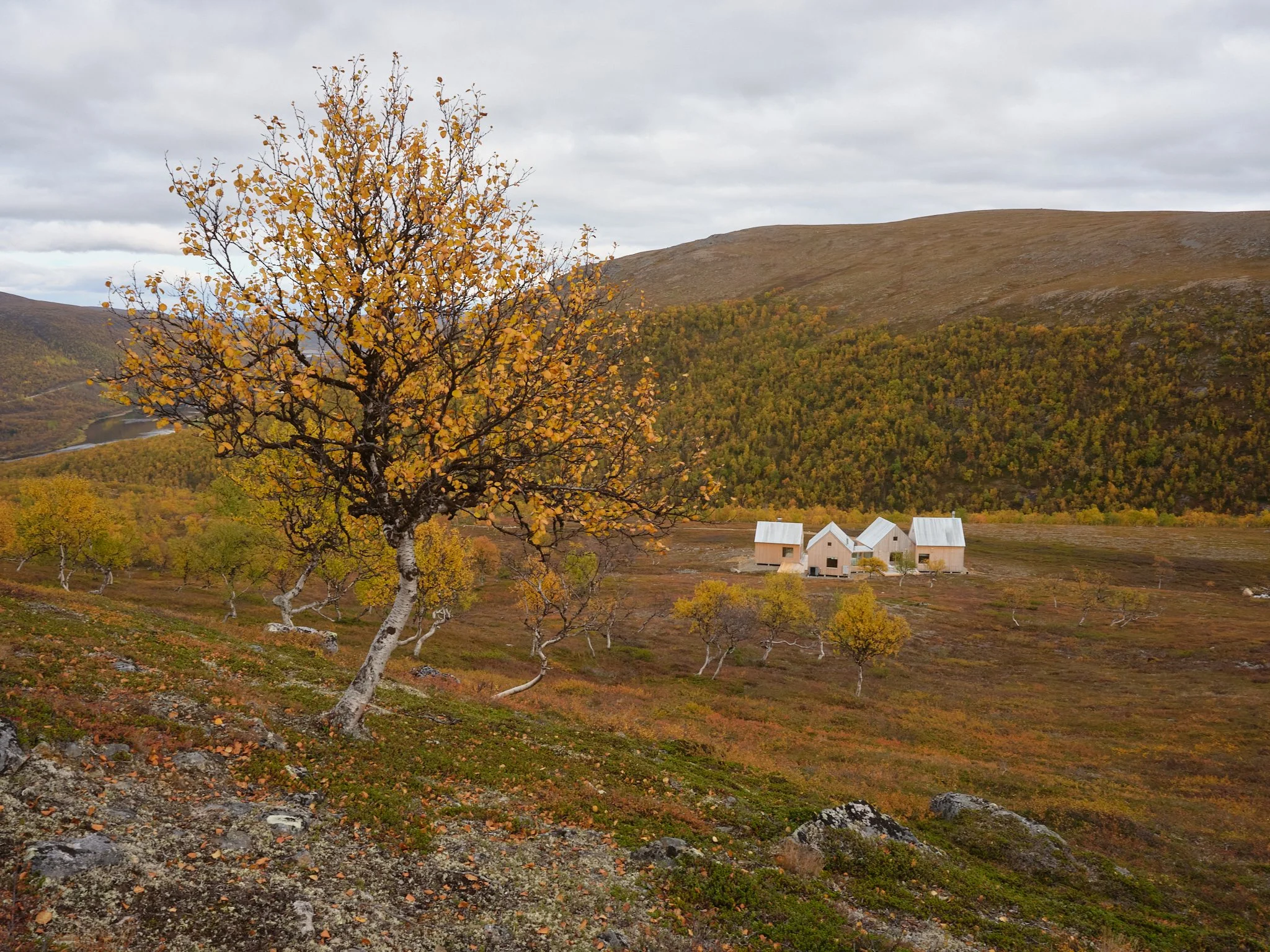 4 cabin house 0118.jpg