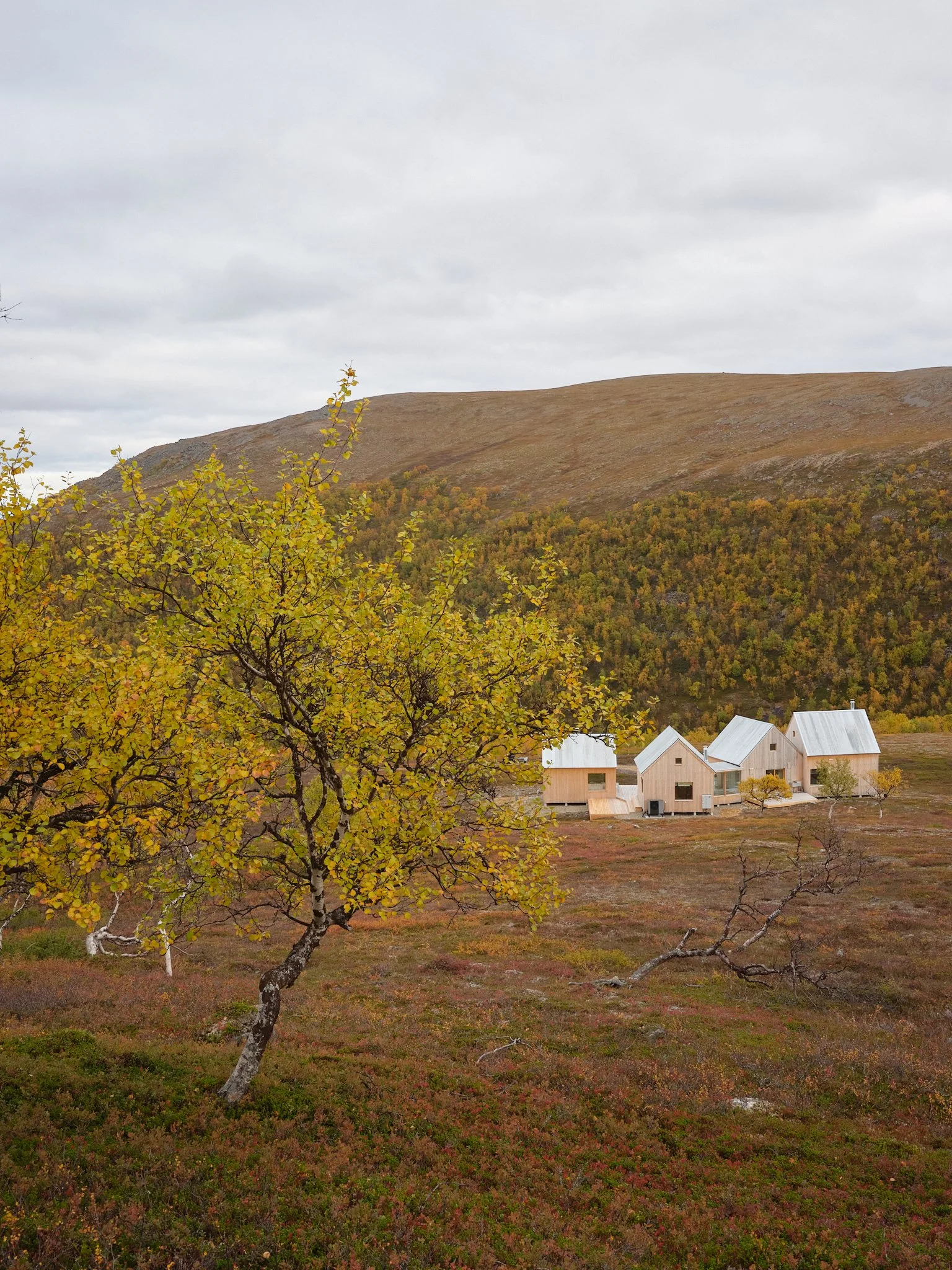 4 cabin house 0138.jpg