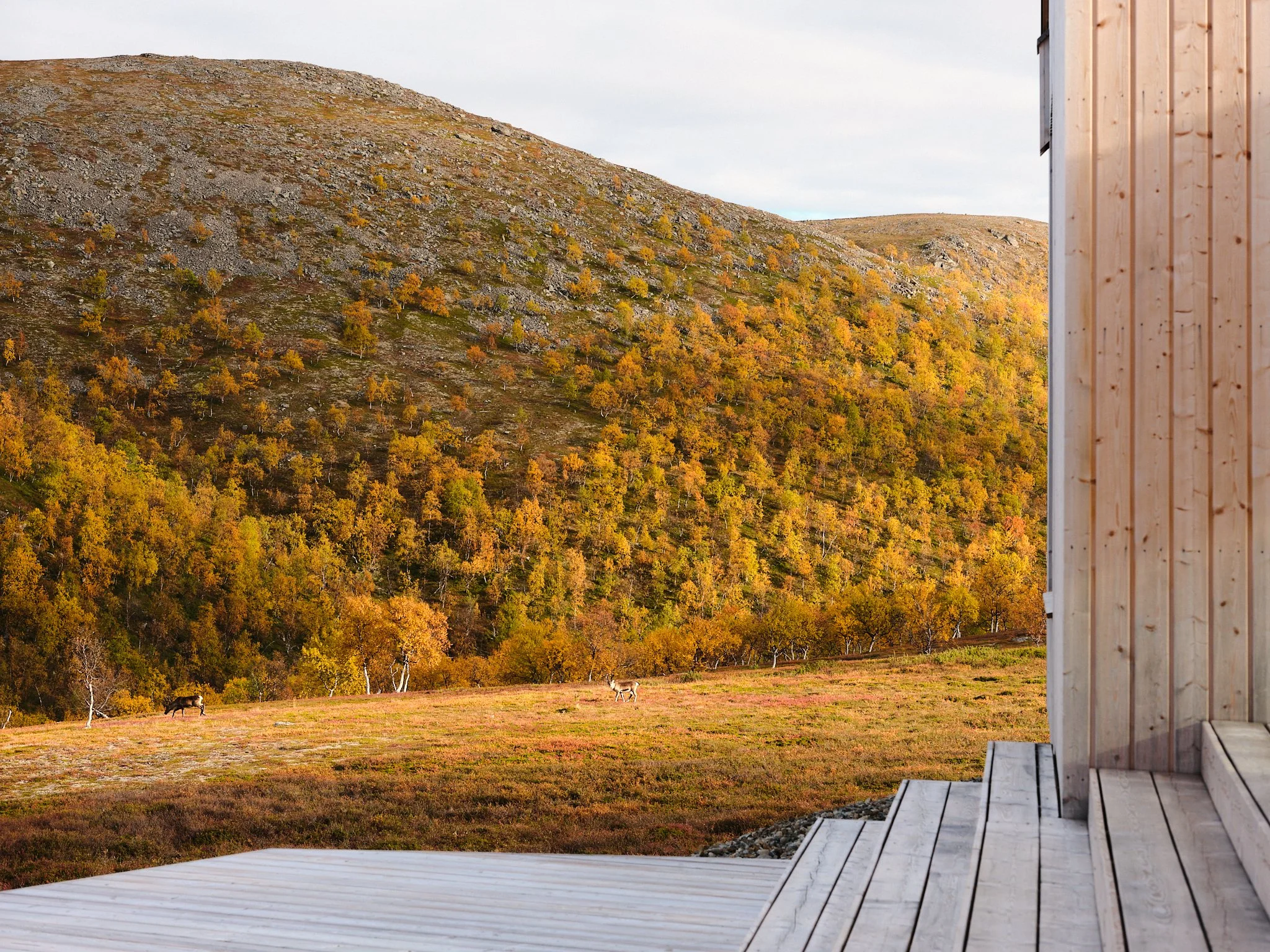 4 cabin house 0543.jpg