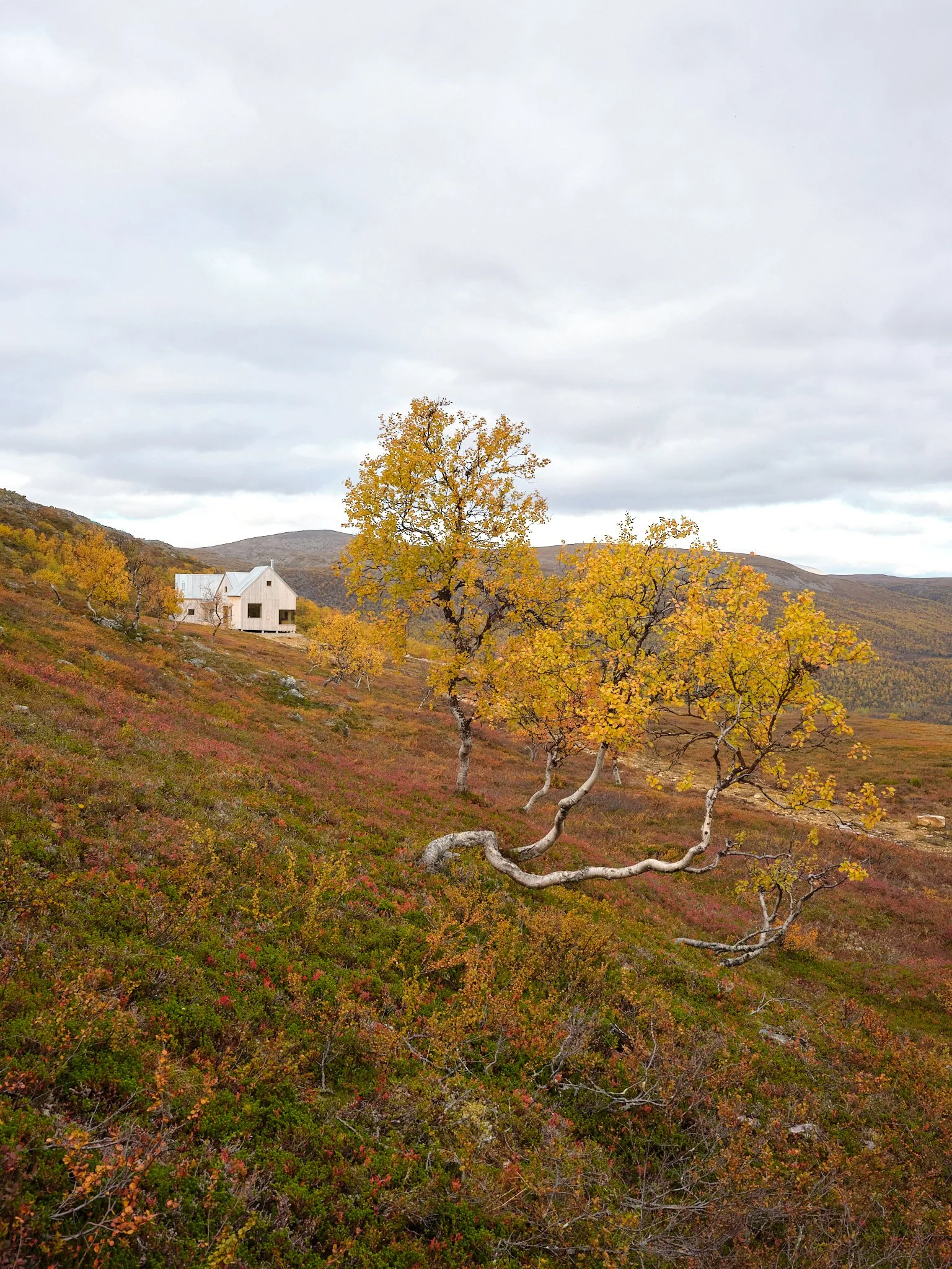 4 cabin house 0080.jpg