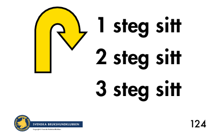 124. Sitt framför, ett, två, tre steg bakåt
