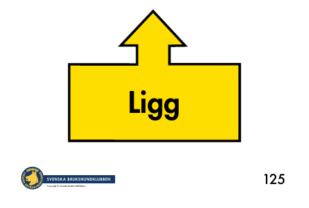 125. Ligg